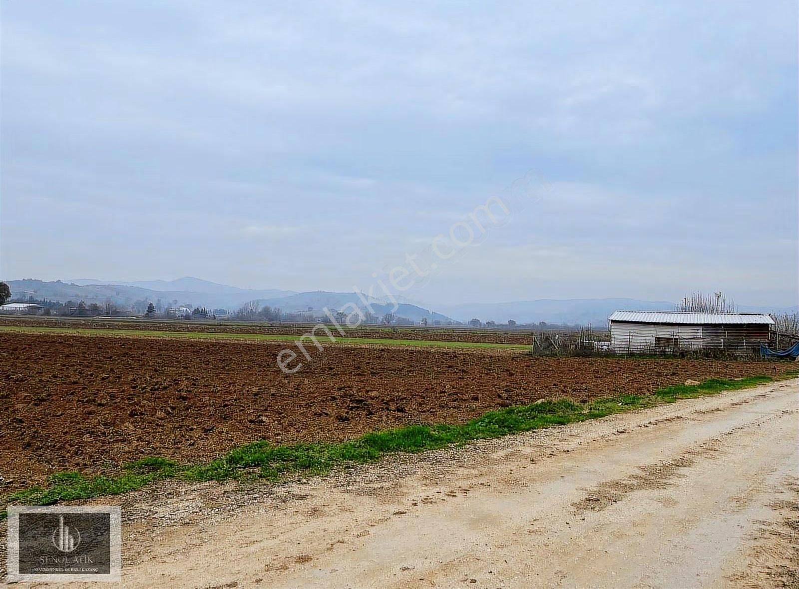Bursa Yenişehir Afşar Mahallesinde Yolu Suyu Elektriği Var - Görsel 14