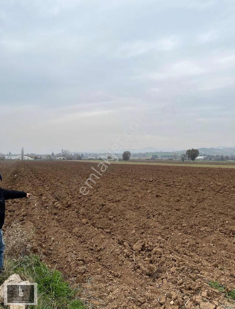 Bursa Yenişehir Afşar Mahallesinde Yolu Suyu Elektriği Var - Görsel 3