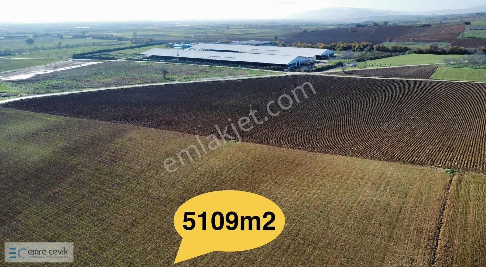 Emre Çevik'den Yenişehir Barcın Da Satılık Tarla 5109m2 - Görsel 11