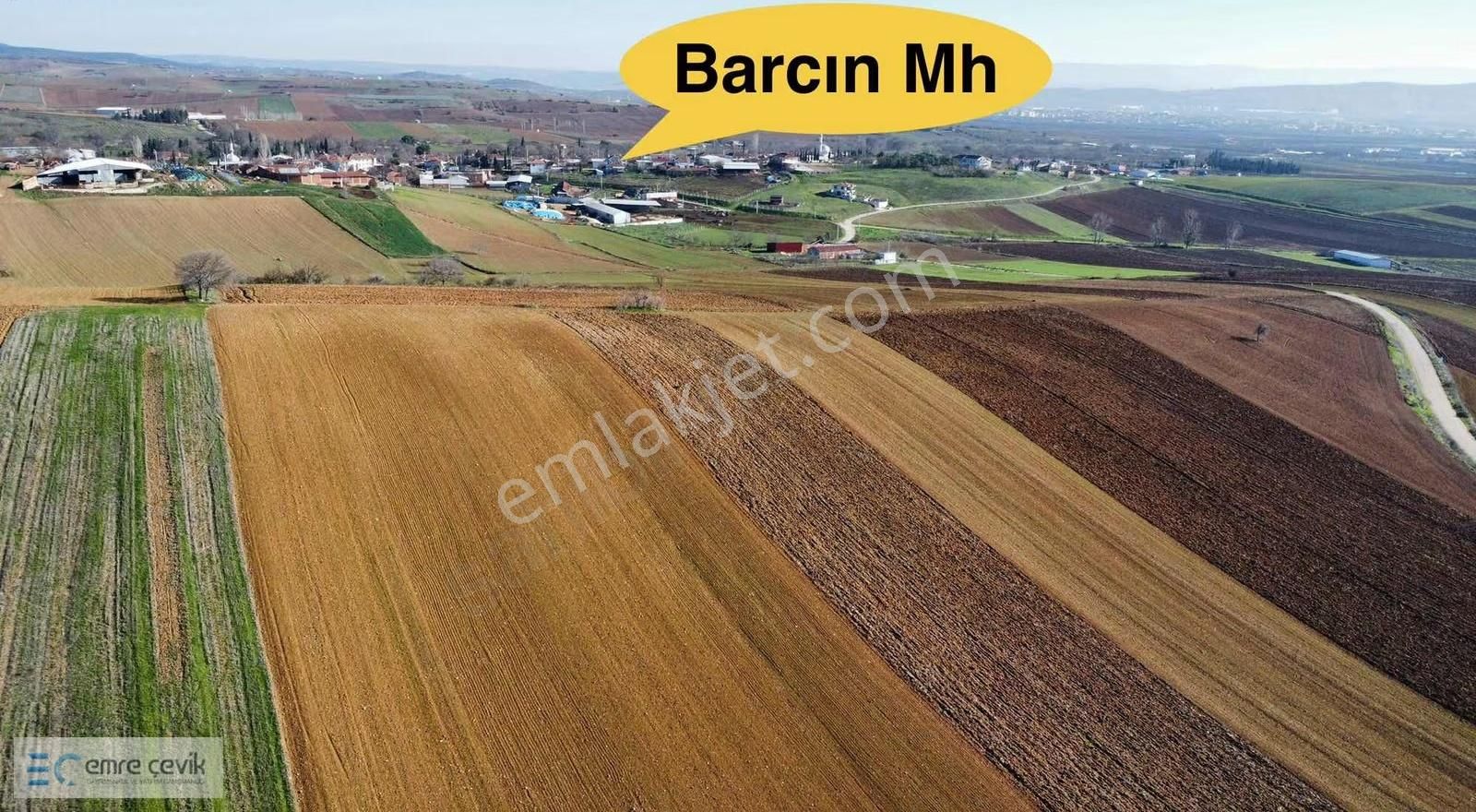 Emre Çevik'den Yenişehir Barcın Da Satılık Tarla 5109m2 - Görsel 5