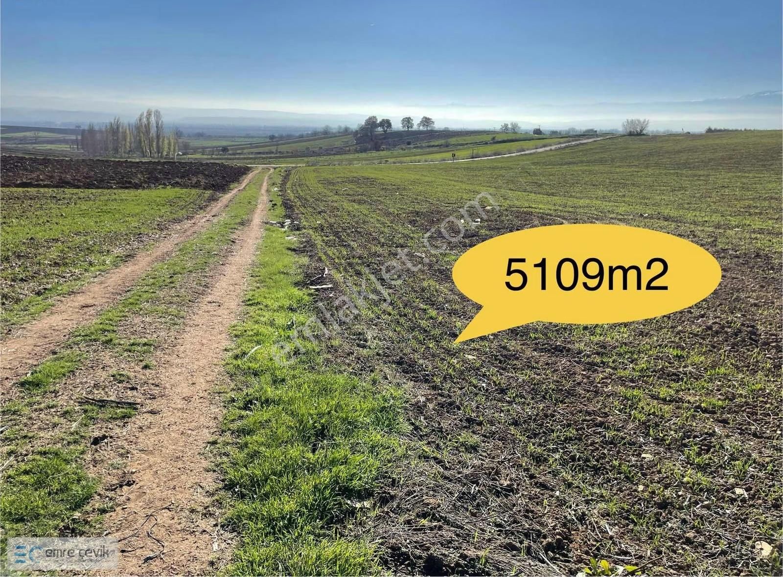 Emre Çevik'den Yenişehir Barcın Da Satılık Tarla 5109m2 - Görsel 3
