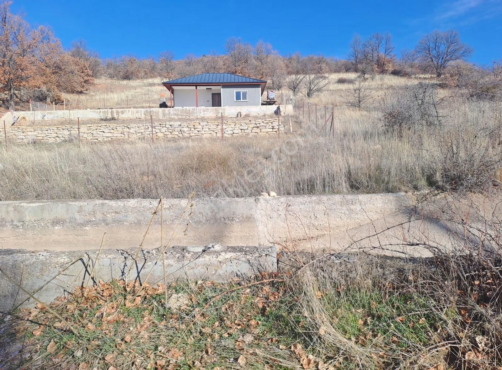 Konya Seydişehir Boyalı Da Satılık Müstakil Bağ Yeri - Görsel 6