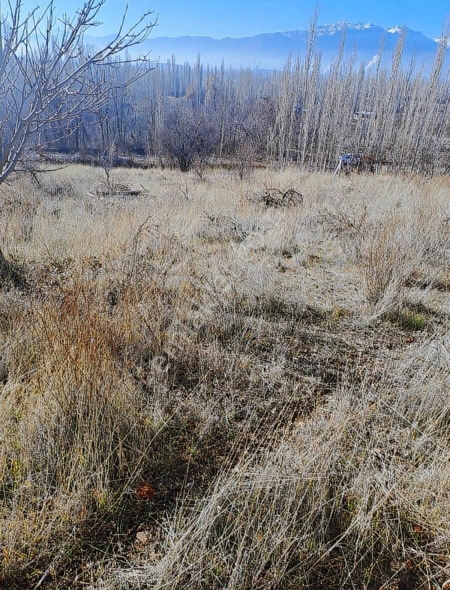 Konya Seydişehir Boyalı Da Satılık Müstakil Bağ Yeri - Görsel 3