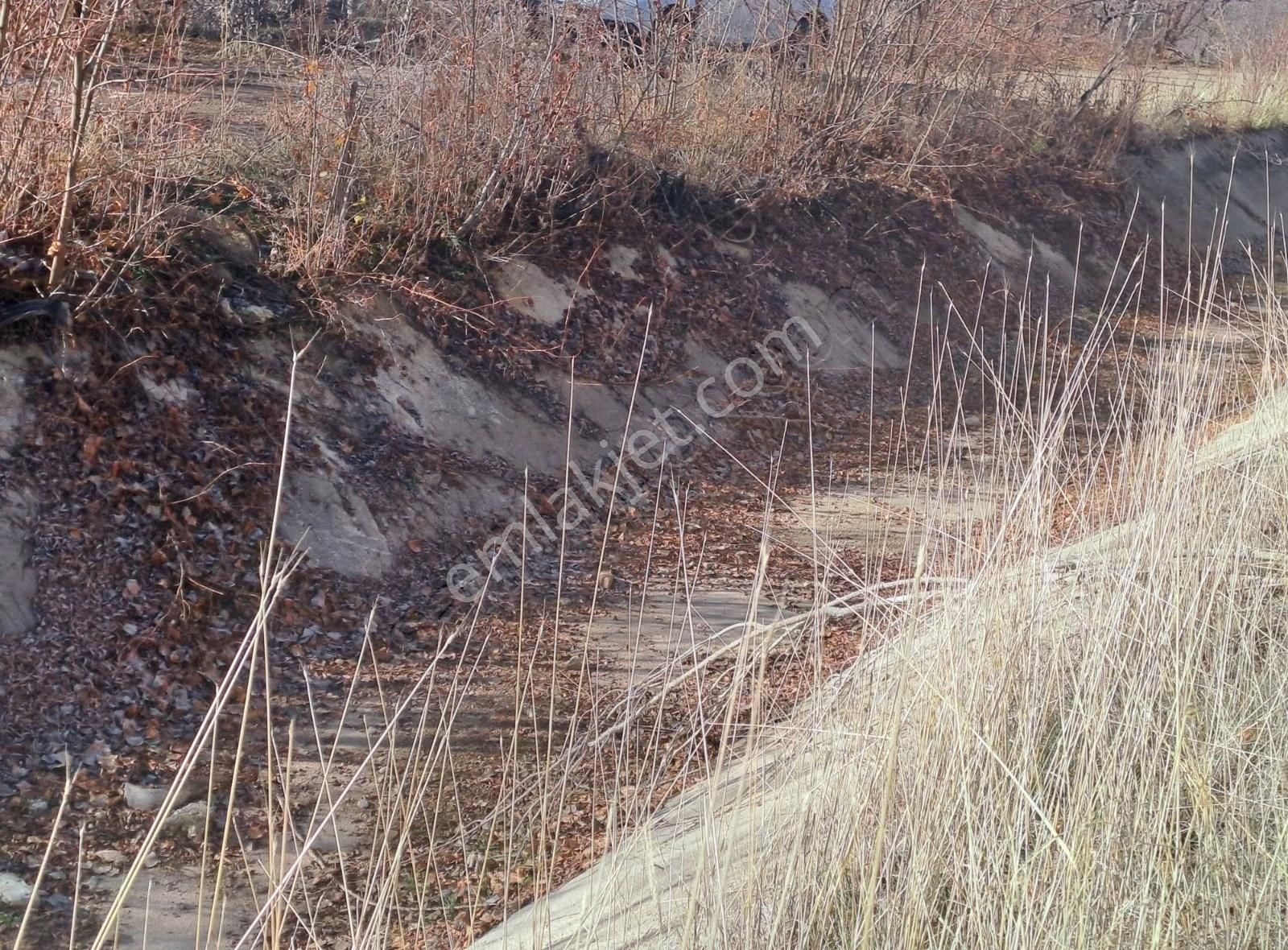 Konya Seydişehir Boyalı Da Satılık Müstakil Bağ Yeri - Görsel 17