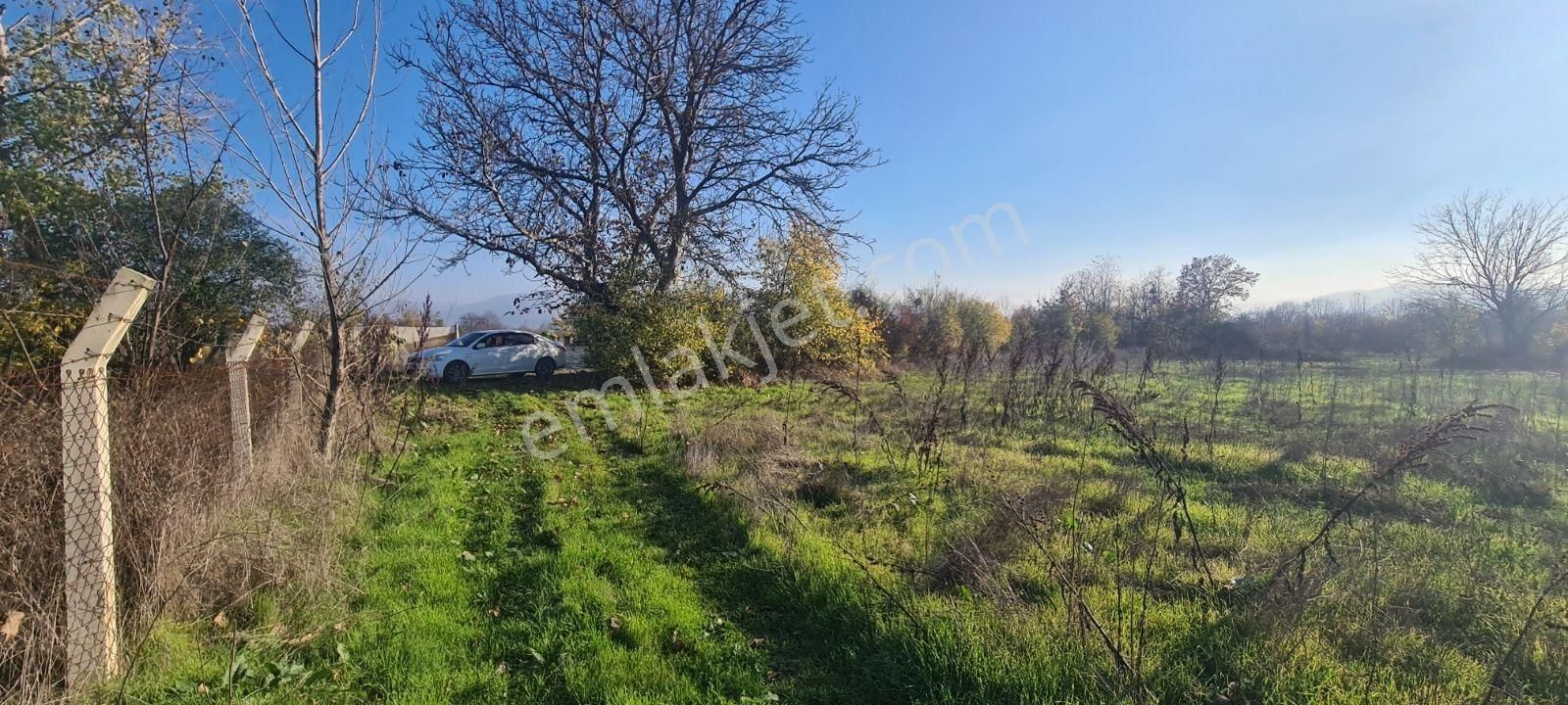 Ulucan'dan İnegöl Kurşunlu Yoluna Yakın Satılık Harika Tarla - Görsel 13