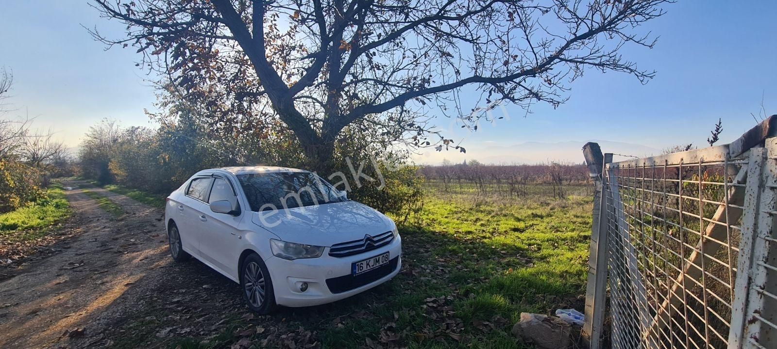 Ulucan'dan İnegöl Kurşunlu Yoluna Yakın Satılık Harika Tarla - Görsel 18