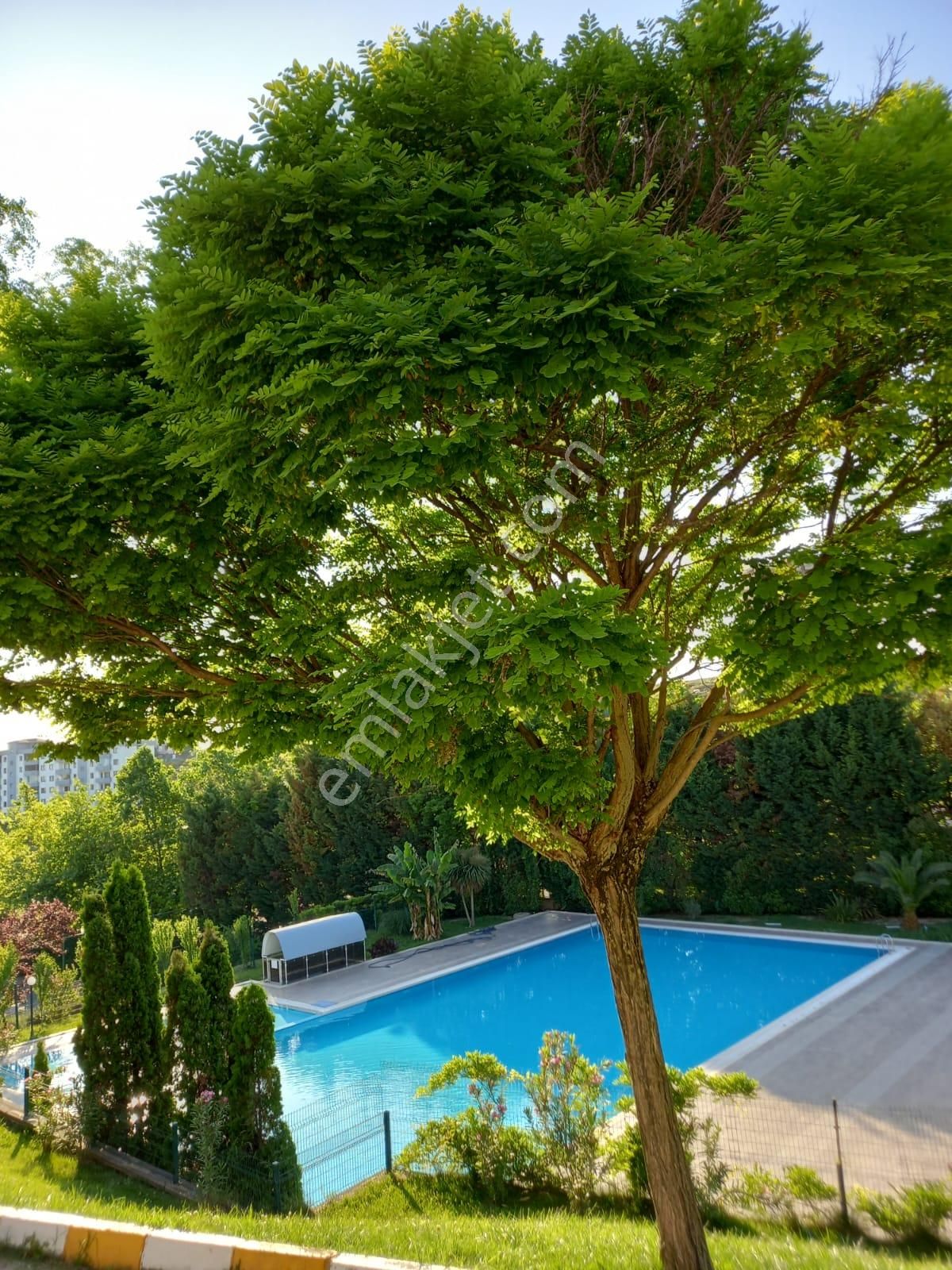 Armina'da Az Katlı 2+1 Satılık Daire - Görsel 25