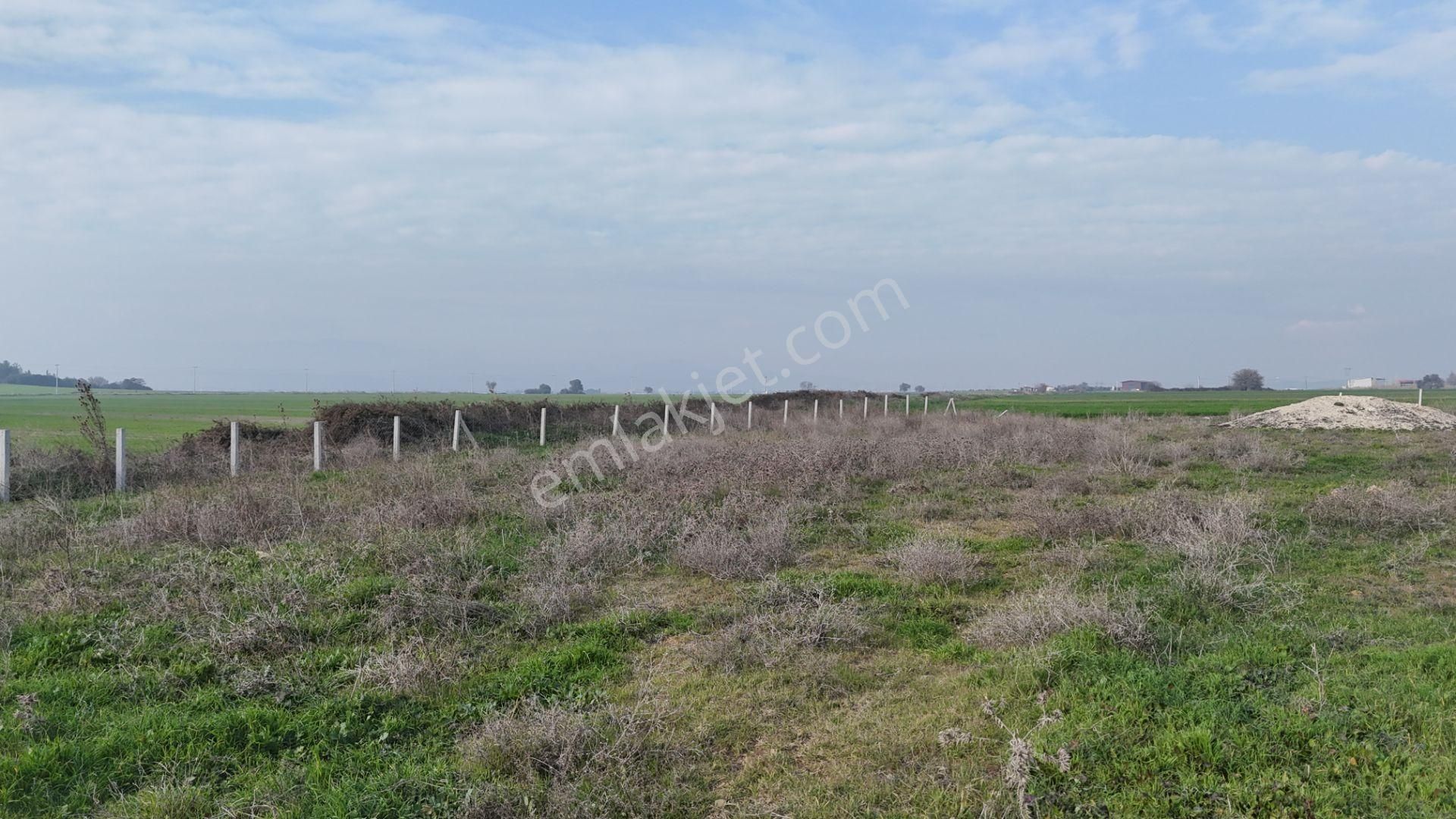 İzmir Menderes Merkezde 2600m2 Sondajlı Asvalt Yolu Depo Atolye Sera Yeri - Görsel 34