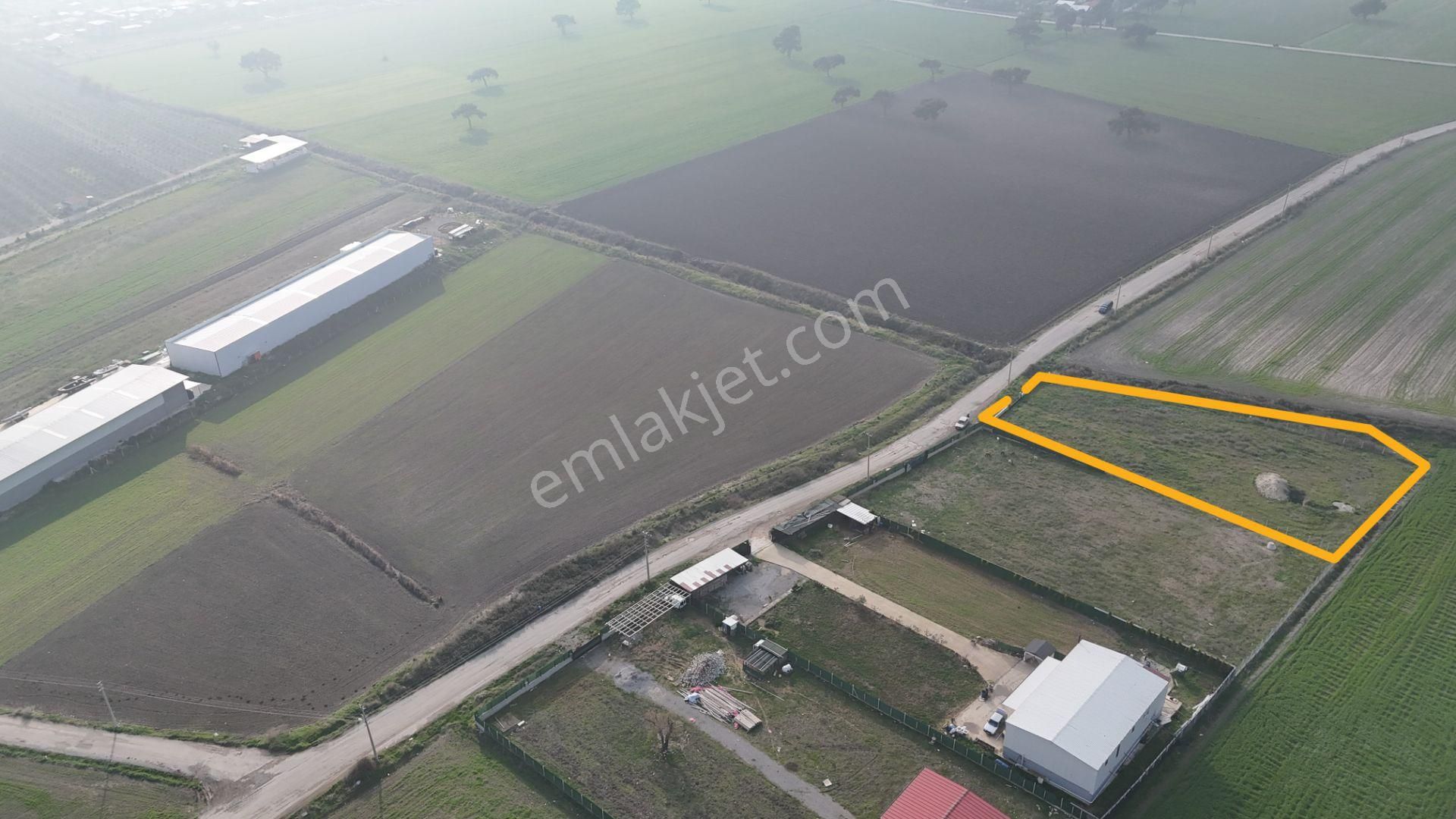 İzmir Menderes Merkezde 2600m2 Sondajlı Asvalt Yolu Depo Atolye Sera Yeri - Görsel 5