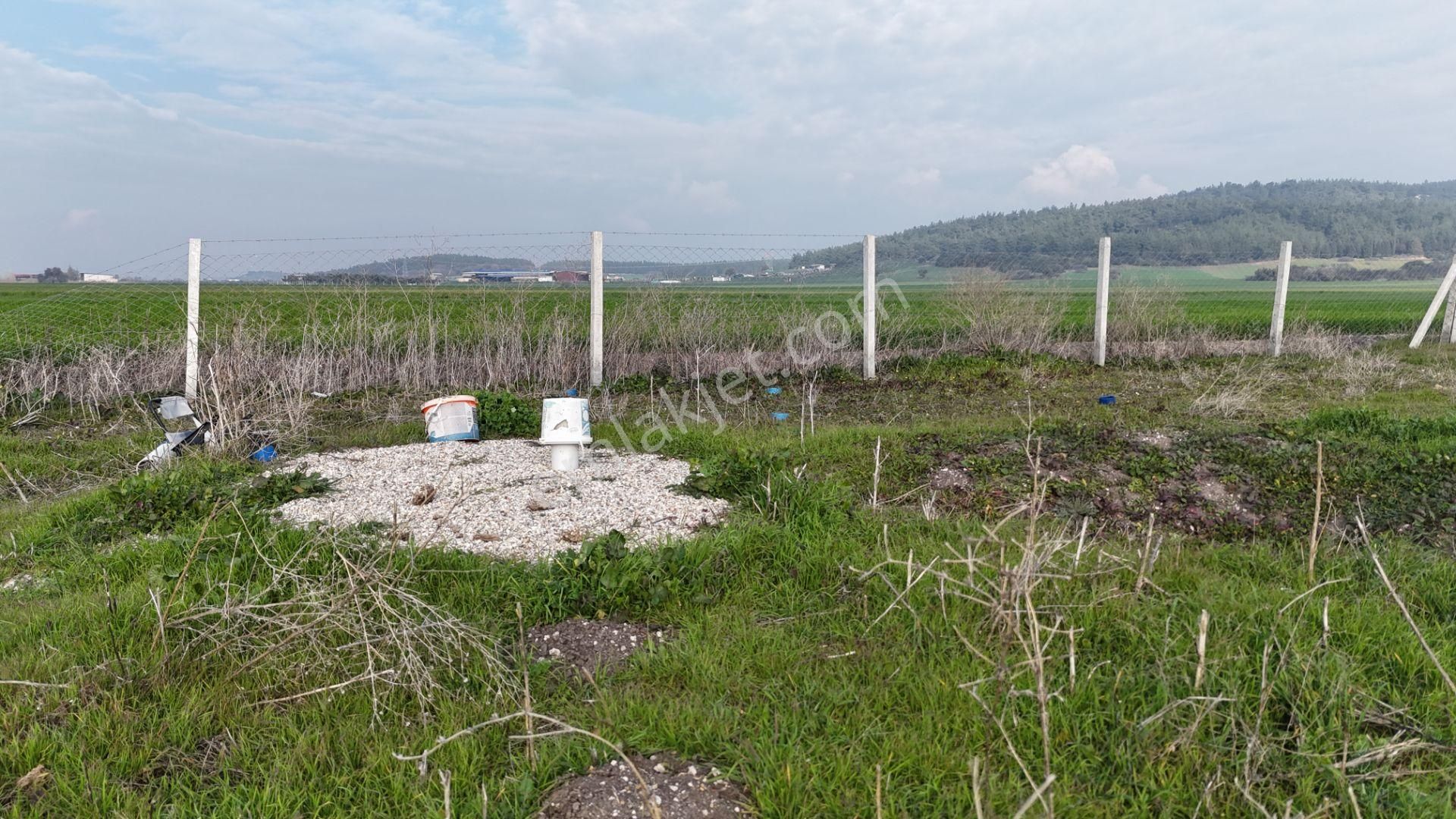 İzmir Menderes Merkezde 2600m2 Sondajlı Asvalt Yolu Depo Atolye Sera Yeri - Görsel 12