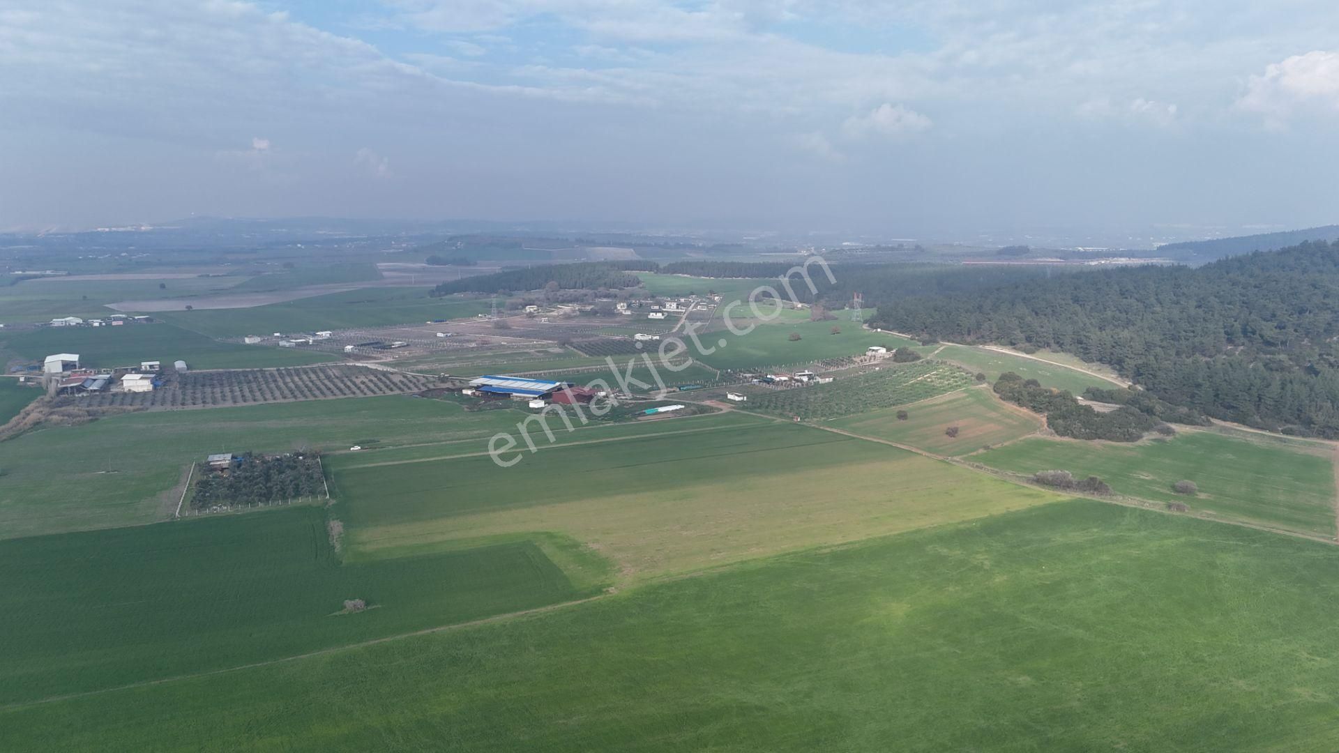 İzmir Menderes Merkezde 2600m2 Sondajlı Asvalt Yolu Depo Atolye Sera Yeri - Görsel 29