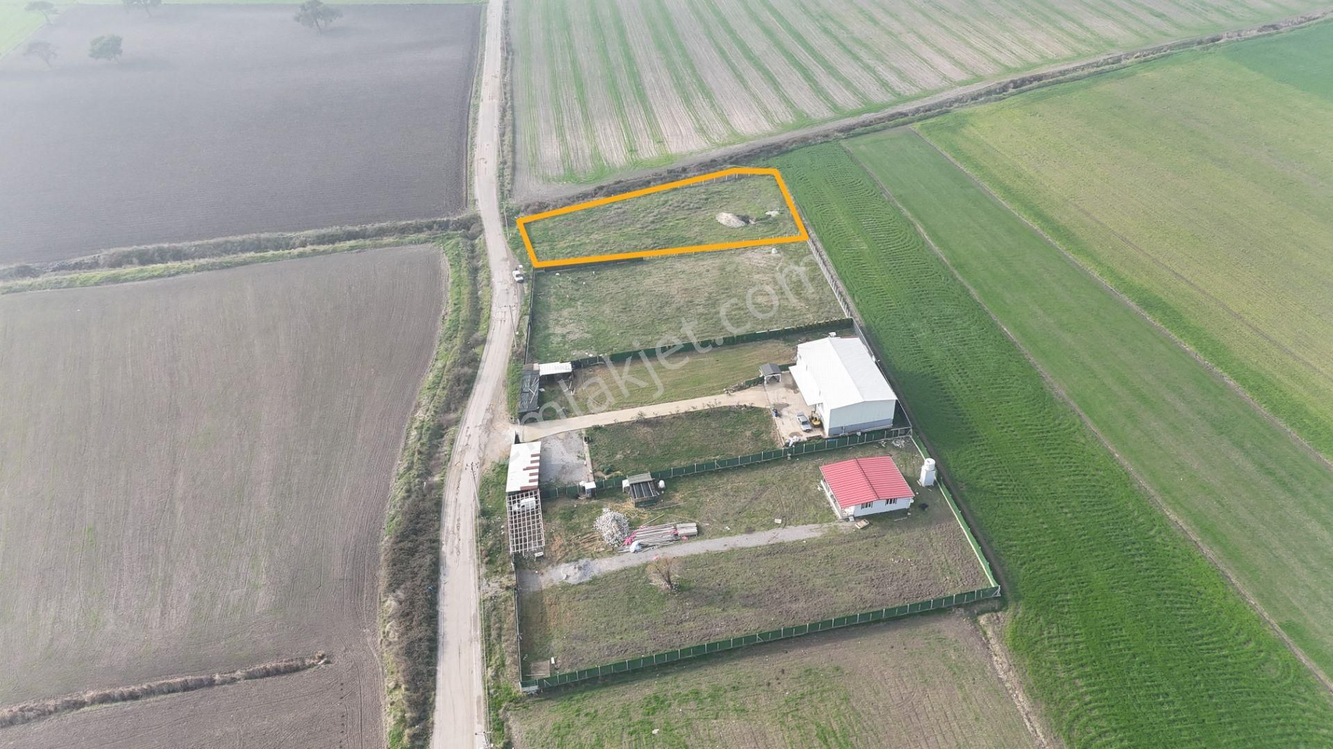 İzmir Menderes Merkezde 2600m2 Sondajlı Asvalt Yolu Depo Atolye Sera Yeri - Görsel 8