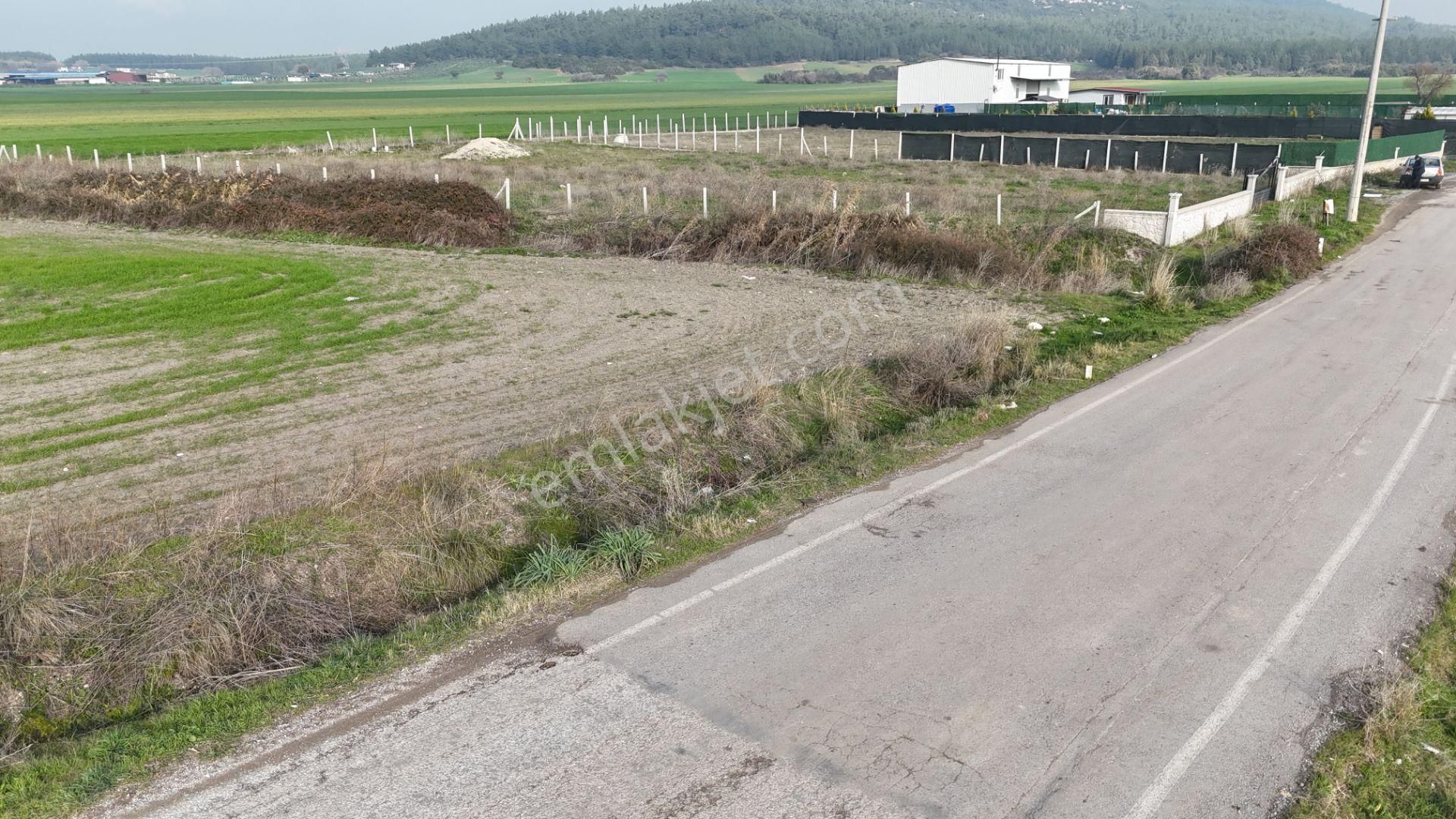 İzmir Menderes Merkezde 2600m2 Sondajlı Asvalt Yolu Depo Atolye Sera Yeri - Görsel 18