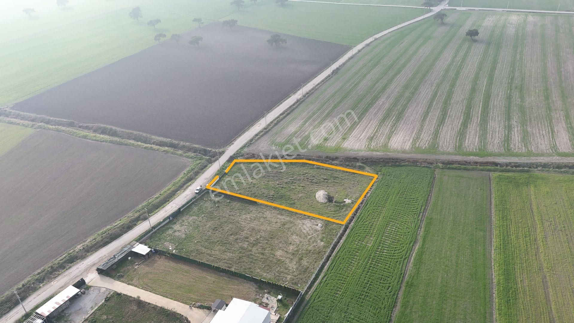 İzmir Menderes Merkezde 2600m2 Sondajlı Asvalt Yolu Depo Atolye Sera Yeri - Görsel 2