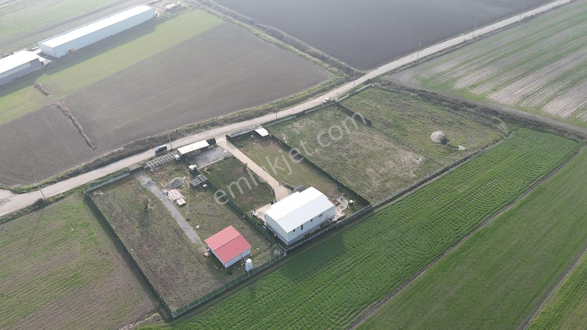 İzmir Menderes Merkezde 2600m2 Sondajlı Asvalt Yolu Depo Atolye Sera Yeri - Görsel 6