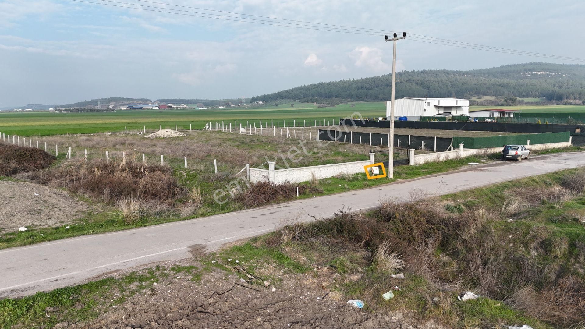 İzmir Menderes Merkezde 2600m2 Sondajlı Asvalt Yolu Depo Atolye Sera Yeri - Görsel 22