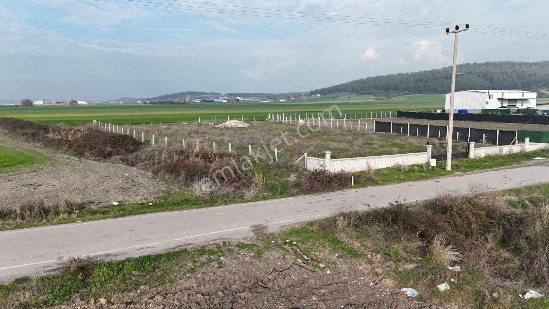 İzmir Menderes Merkezde 2600m2 Sondajlı Asvalt Yolu Depo Atolye Sera Yeri - Görsel 30