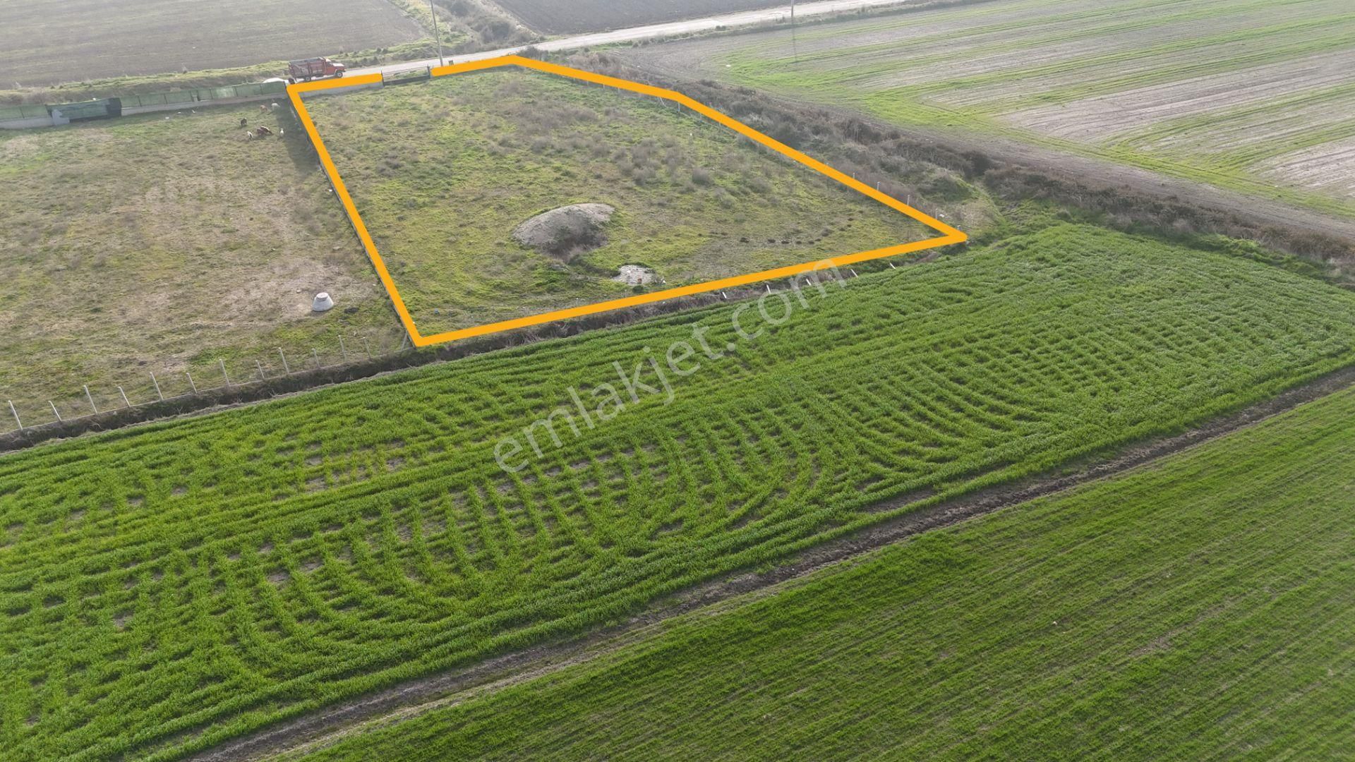 İzmir Menderes Merkezde 2600m2 Sondajlı Asvalt Yolu Depo Atolye Sera Yeri - Görsel 24