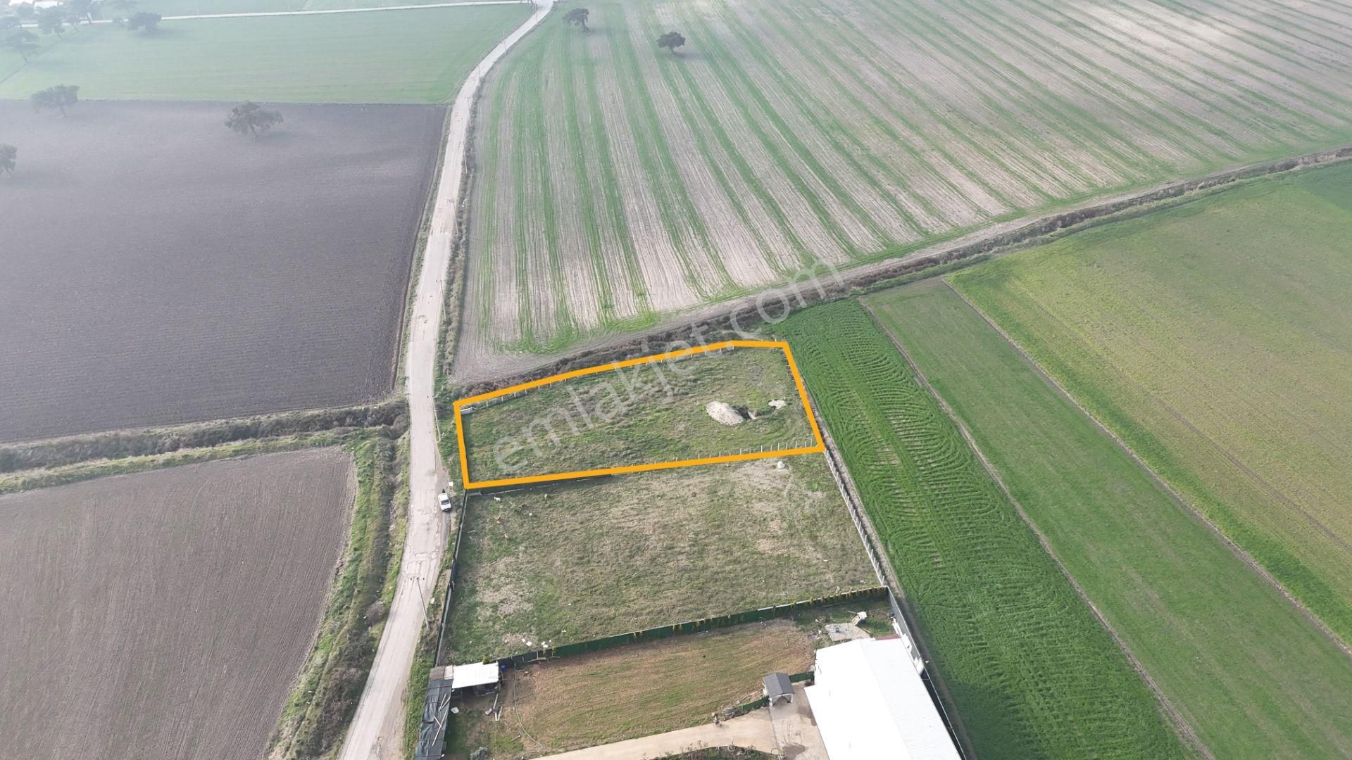 İzmir Menderes Merkezde 2600m2 Sondajlı Asvalt Yolu Depo Atolye Sera Yeri - Görsel 11