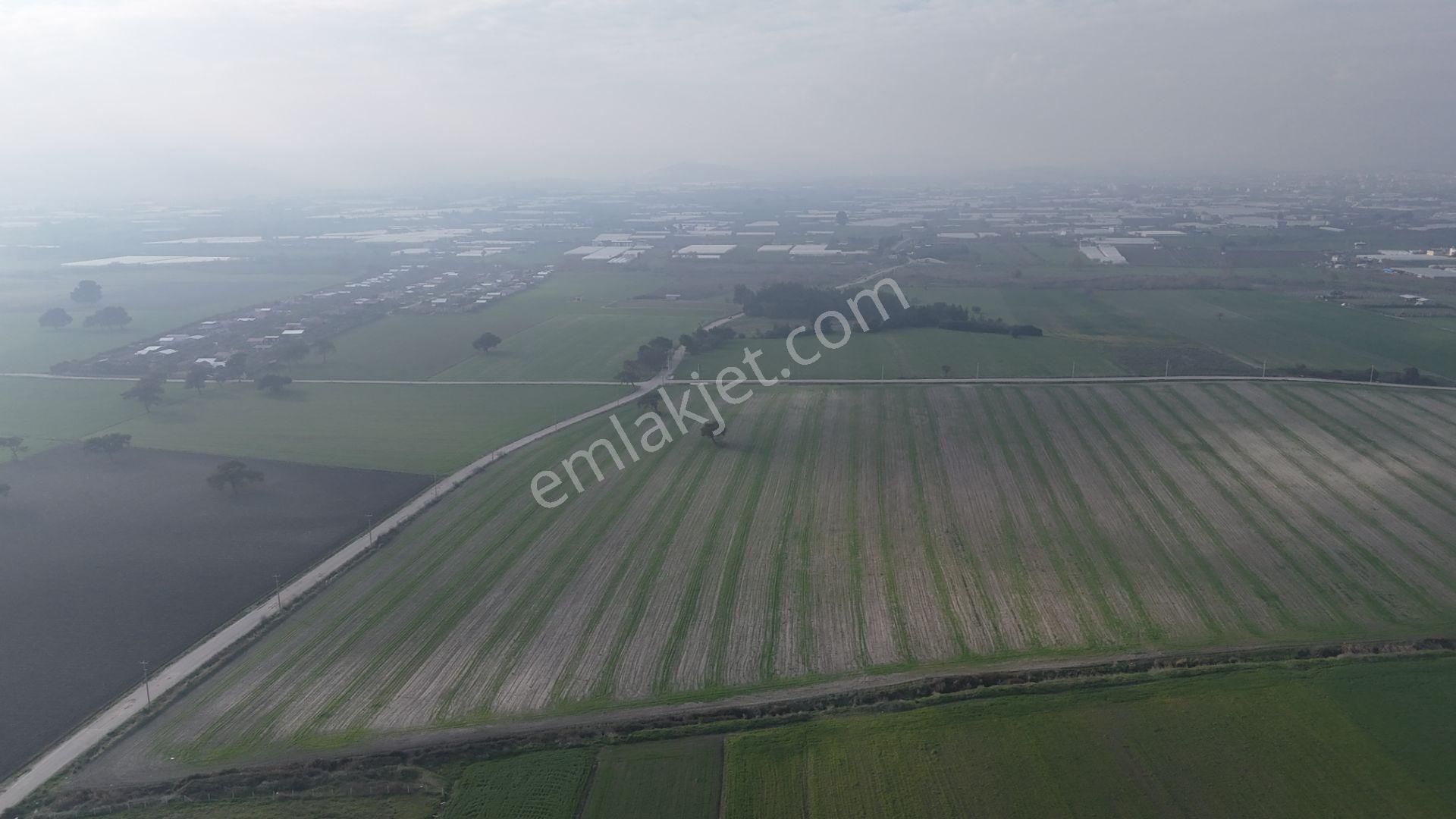 İzmir Menderes Merkezde 2600m2 Sondajlı Asvalt Yolu Depo Atolye Sera Yeri - Görsel 26