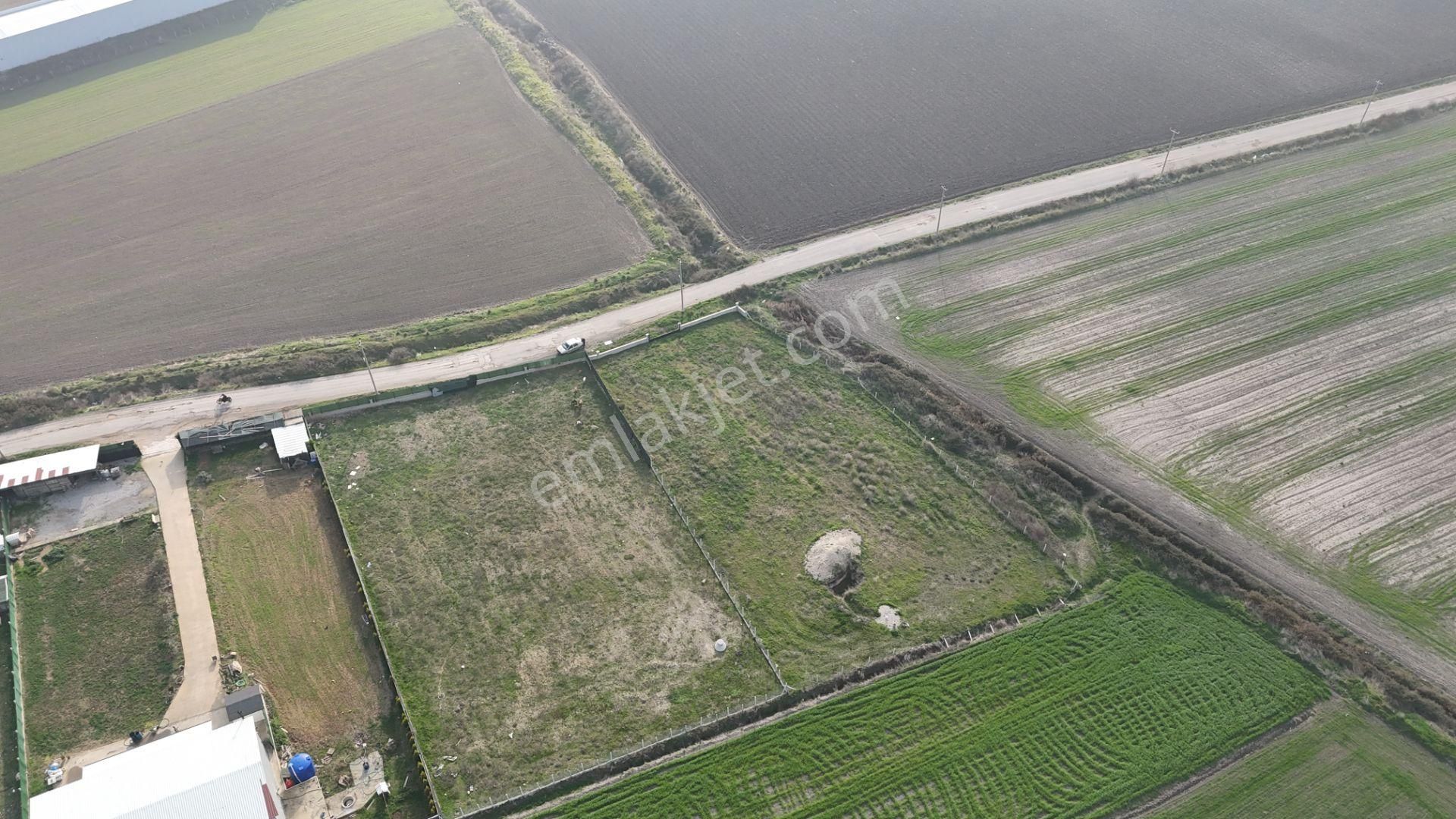 İzmir Menderes Merkezde 2600m2 Sondajlı Asvalt Yolu Depo Atolye Sera Yeri - Görsel 27