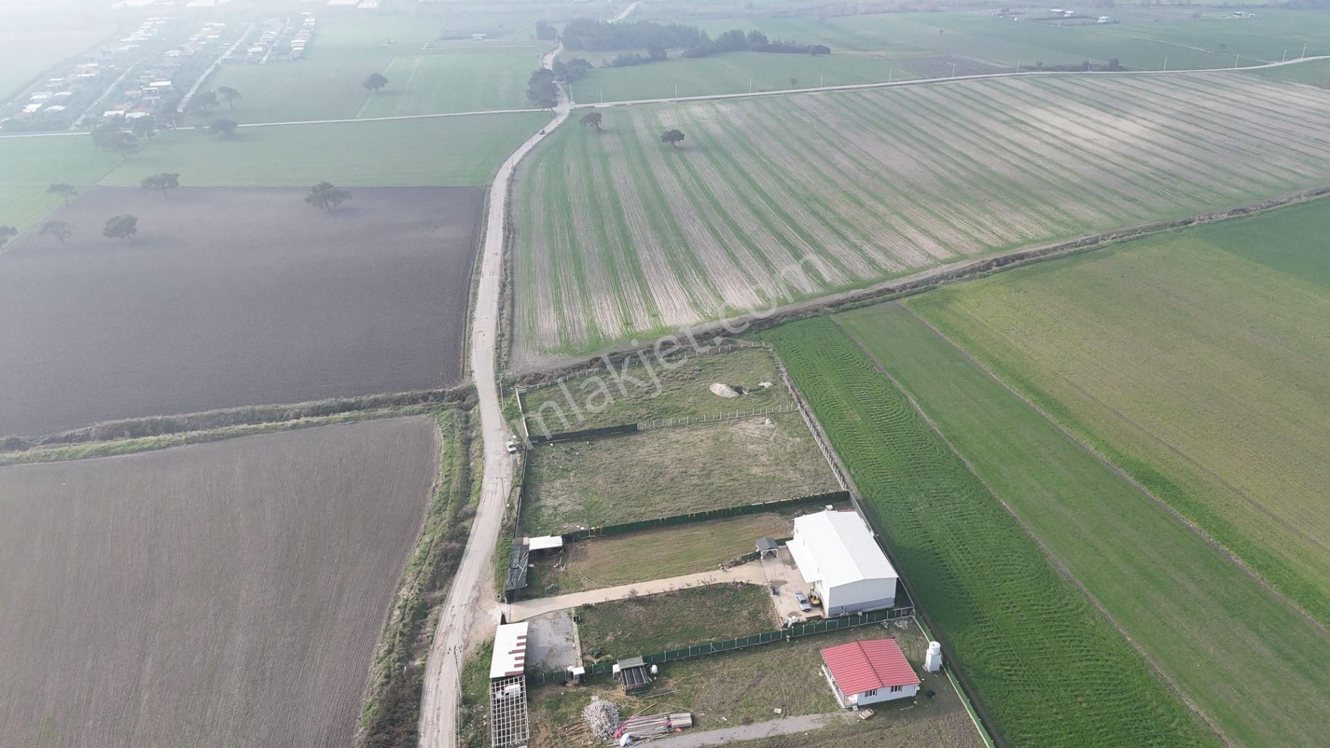 İzmir Menderes Merkezde 2600m2 Sondajlı Asvalt Yolu Depo Atolye Sera Yeri - Görsel 31