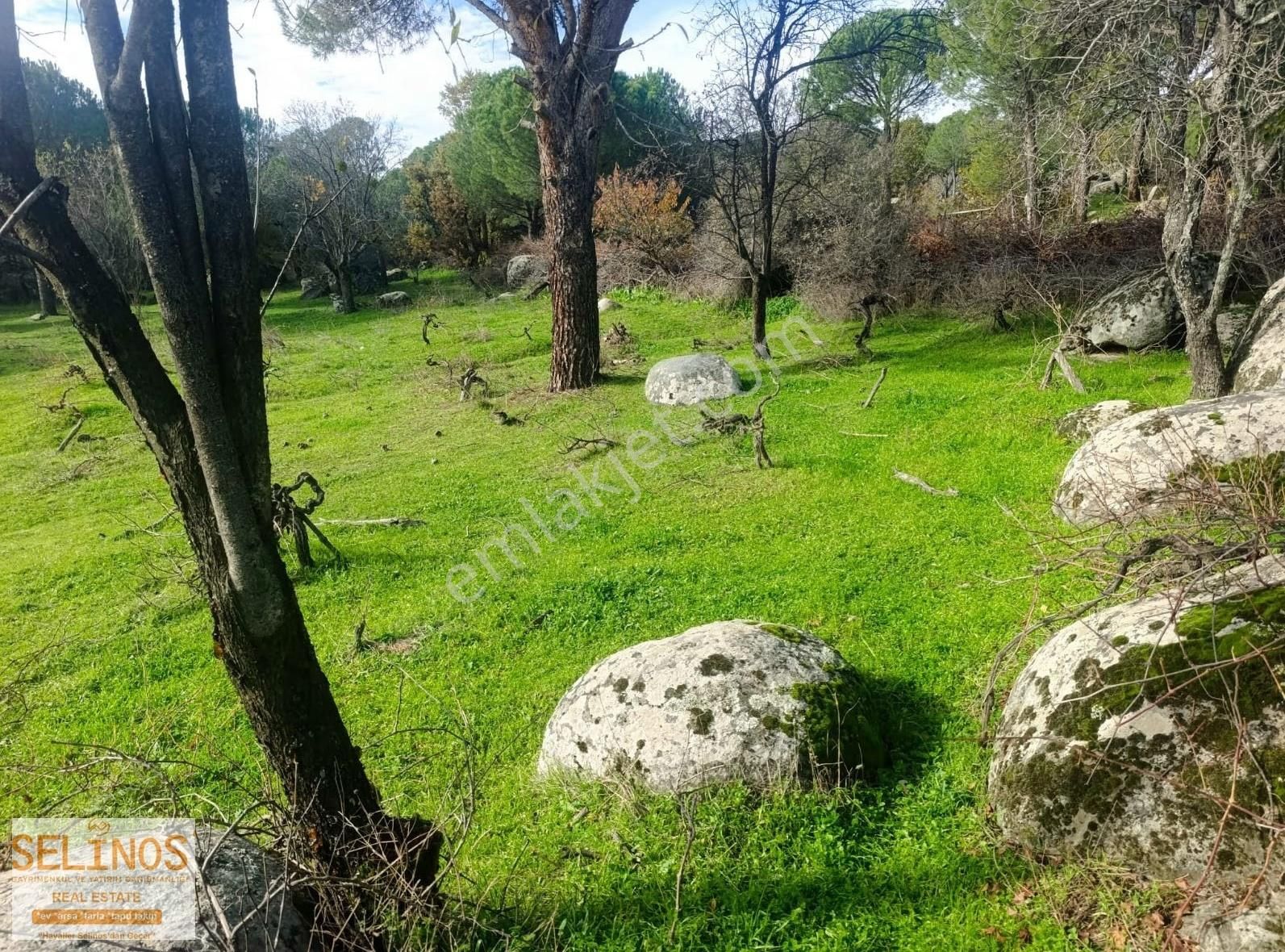 Hacıhamzalar Köyün İçerisinde 736 M2 Bağ - Görsel 5