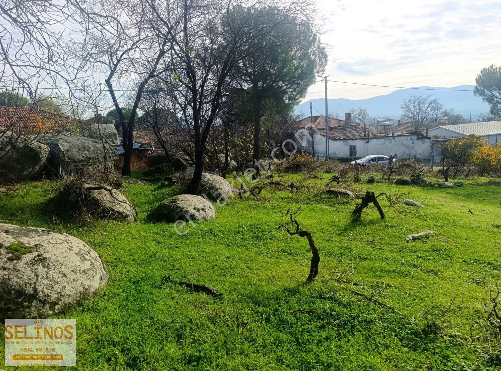 Hacıhamzalar Köyün İçerisinde 736 M2 Bağ - Görsel 2