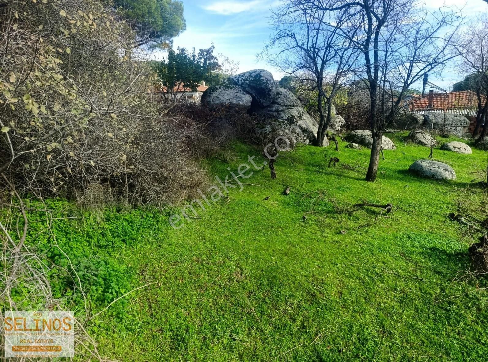 Hacıhamzalar Köyün İçerisinde 736 M2 Bağ - Görsel 4