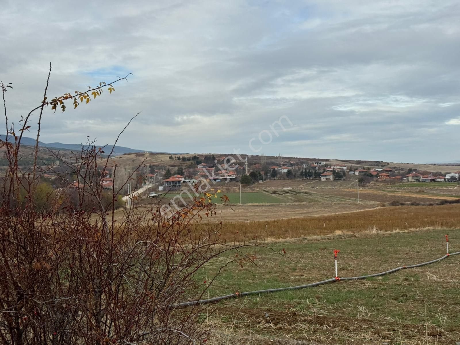 💥 6 Dönüm Yolu Var Kelepir Ekilir Biçilir Kelepir Tarla - Görsel 28