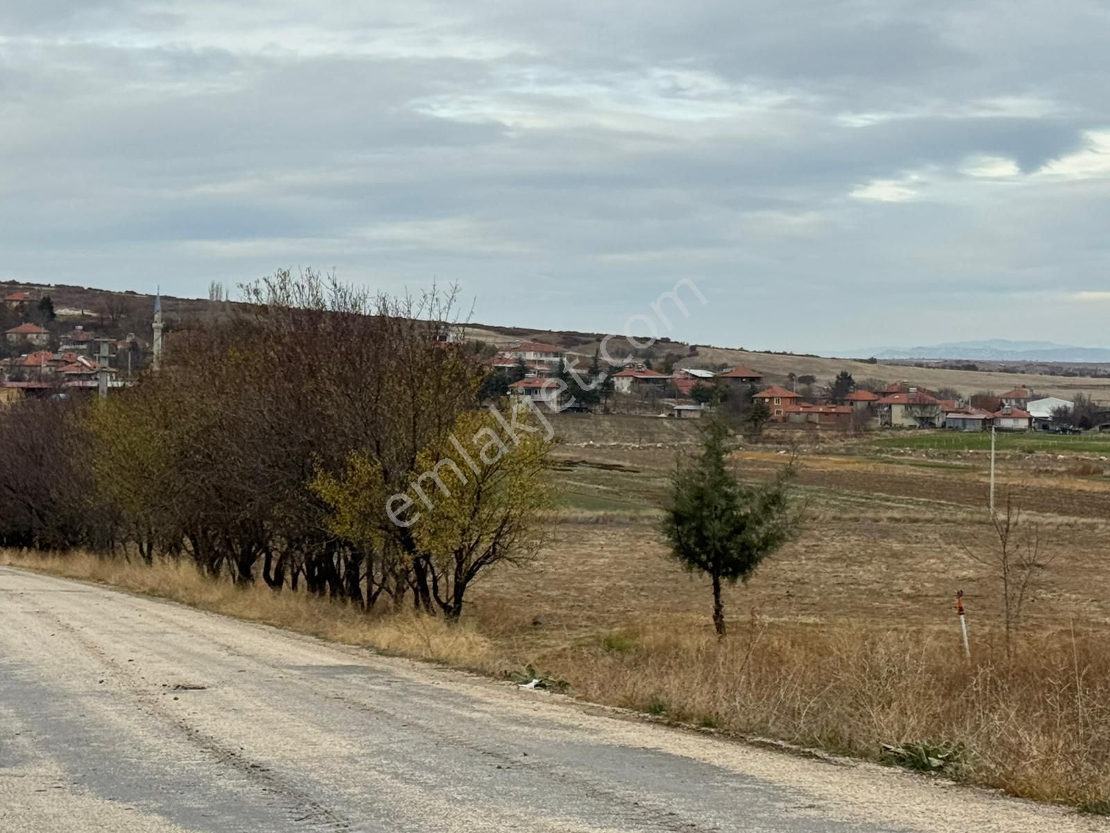 💥 6 Dönüm Yolu Var Kelepir Ekilir Biçilir Kelepir Tarla - Görsel 12
