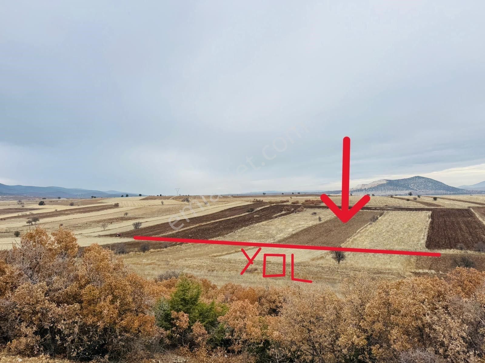 💥 6 Dönüm Yolu Var Kelepir Ekilir Biçilir Kelepir Tarla - Görsel 2