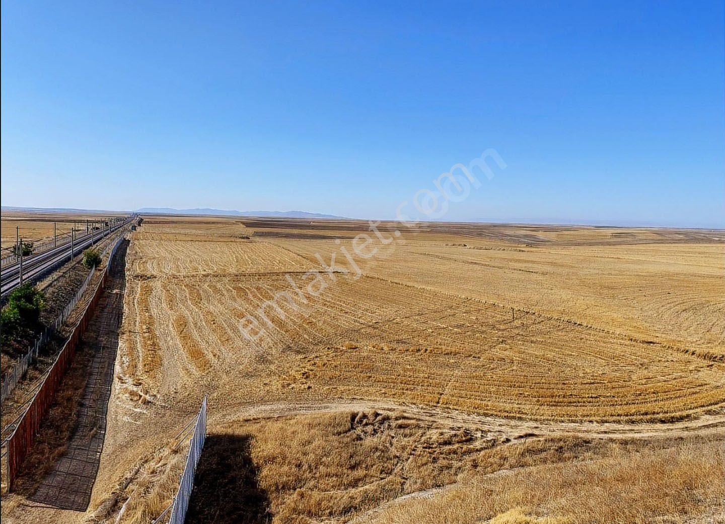 Konya Yunakta 40dönüm Tarla Hızlı Tren Güzergahı Yol Cepheli - Görsel 23