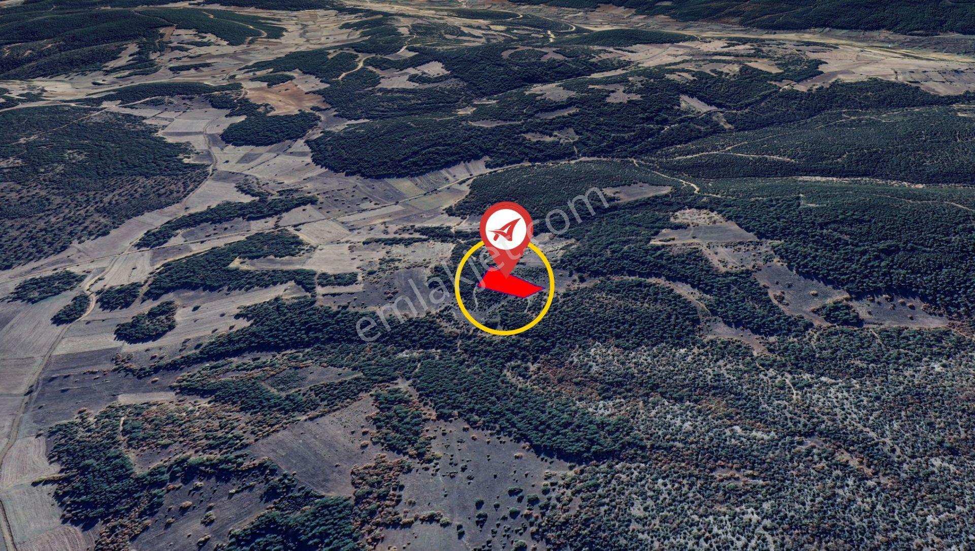 Kütahya Altıntaş Oysu 5116m2 Satılık Tarla - Görsel 4