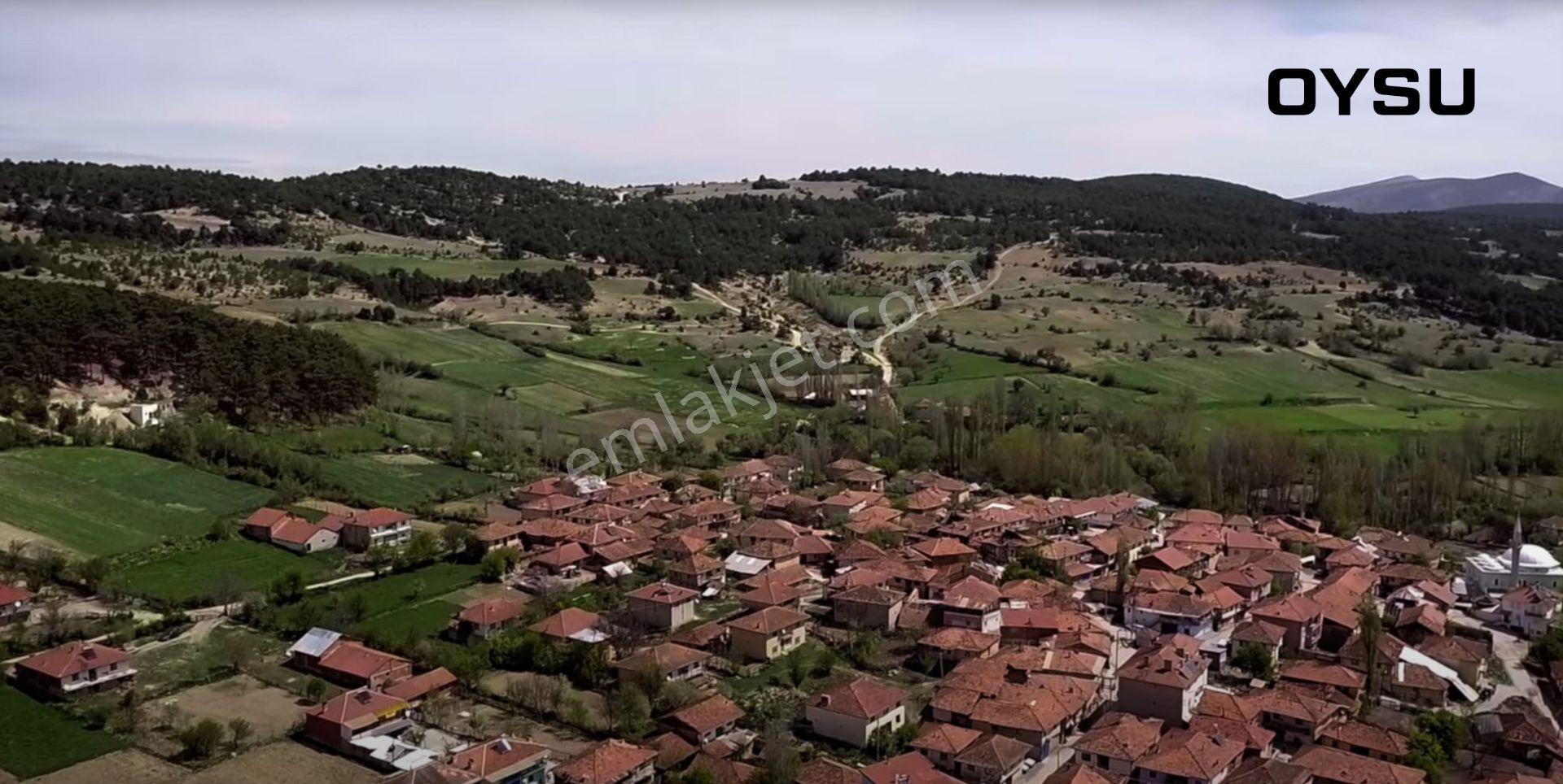Kütahya Altıntaş Oysu 5116m2 Satılık Tarla - Görsel 25