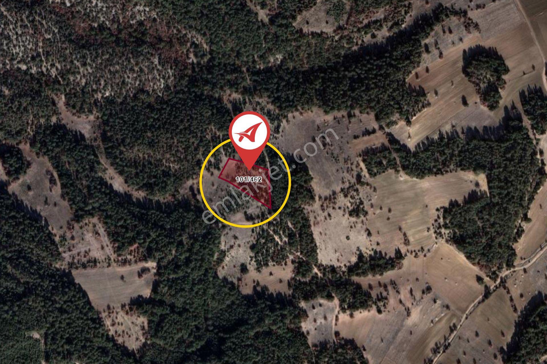 Kütahya Altıntaş Oysu 5116m2 Satılık Tarla - Görsel 13