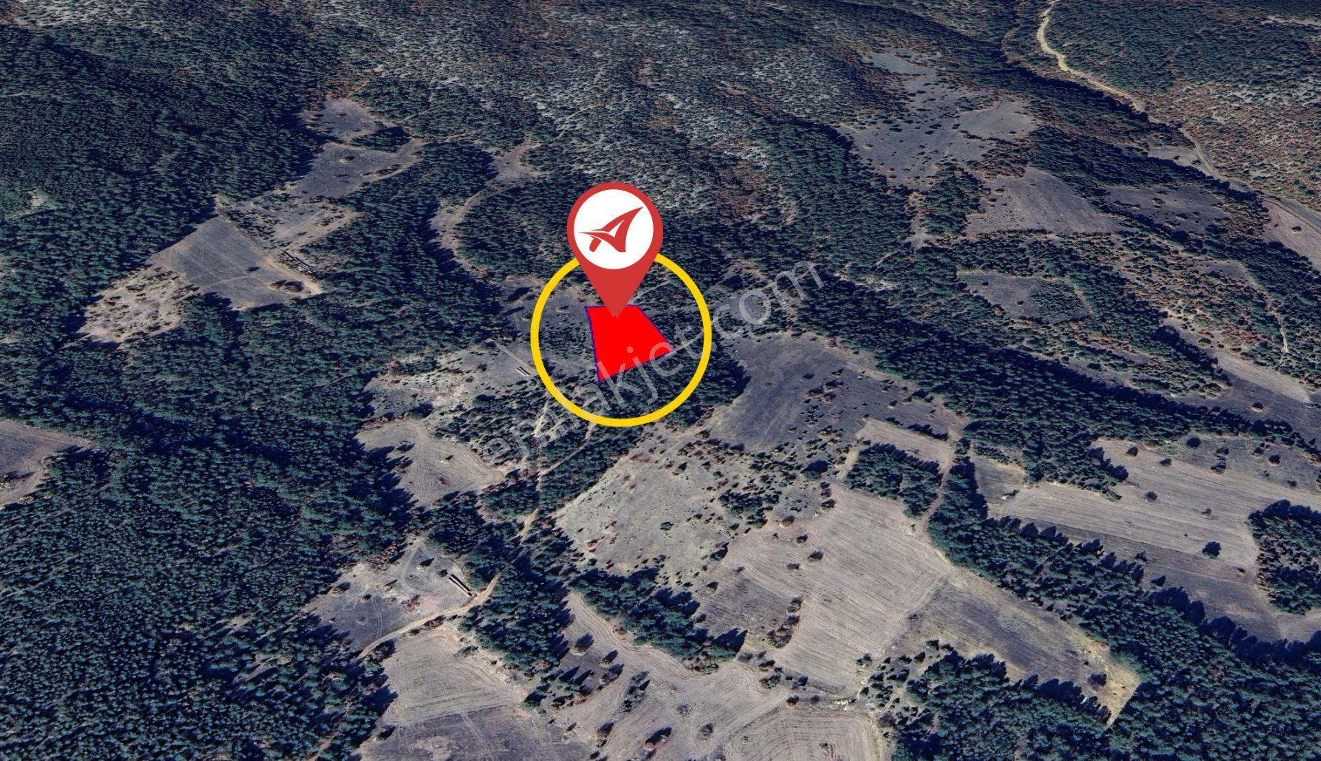 Kütahya Altıntaş Oysu 5116m2 Satılık Tarla - Görsel 2