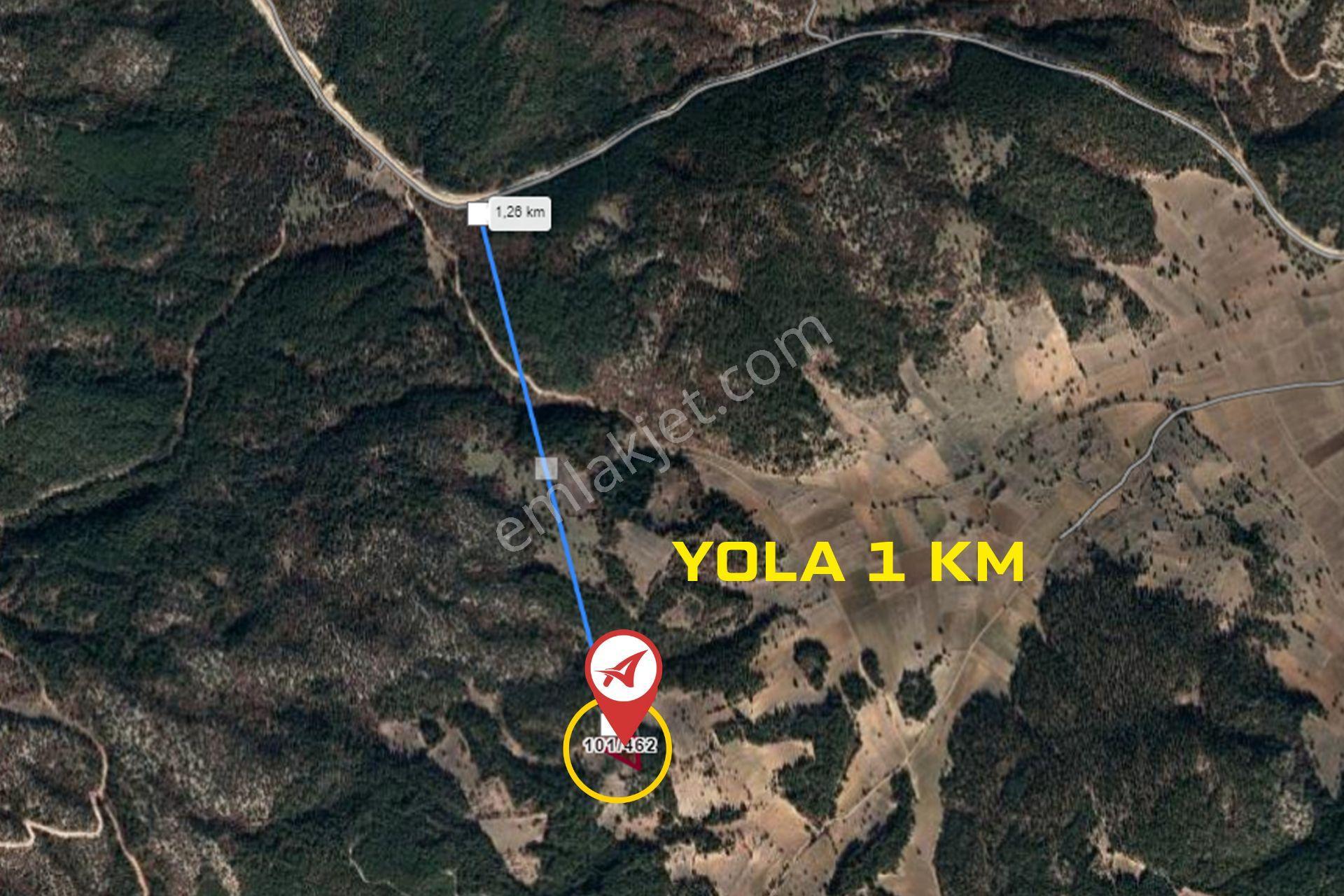 Kütahya Emet Düşecek Satılık 6520m2 Tarla - Görsel 11