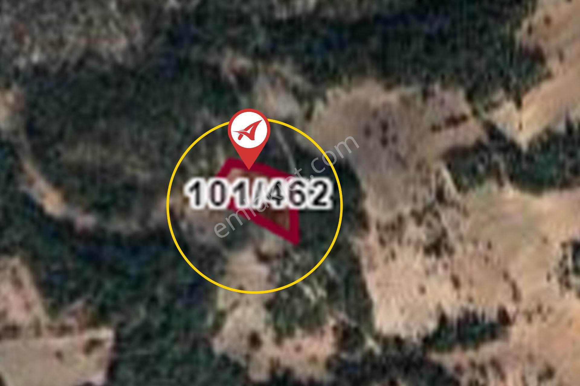 Kütahya Emet Düşecek Satılık 6520m2 Tarla - Görsel 9