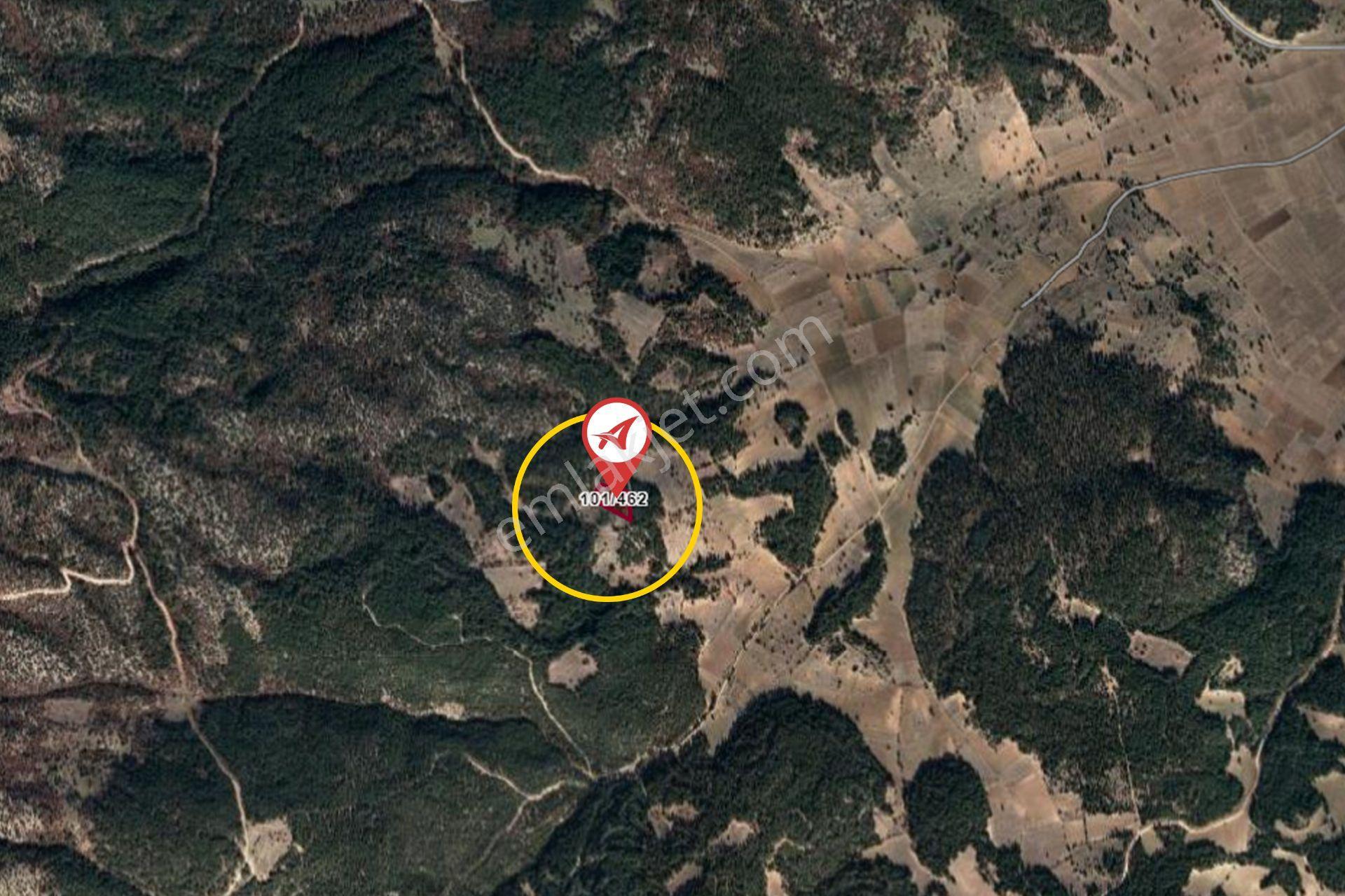 Kütahya Emet Düşecek Satılık 6520m2 Tarla - Görsel 10