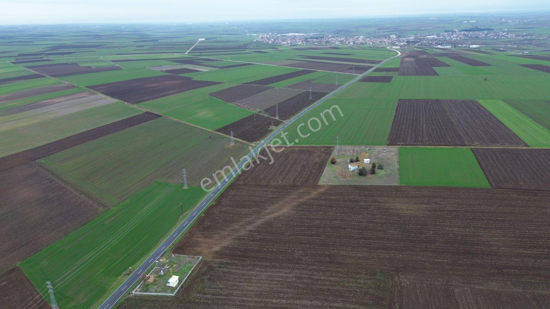 Kırklareli Lüleburgaz Ahmetbeyde Satılık 187 Dönüm Arazi - Görsel 12