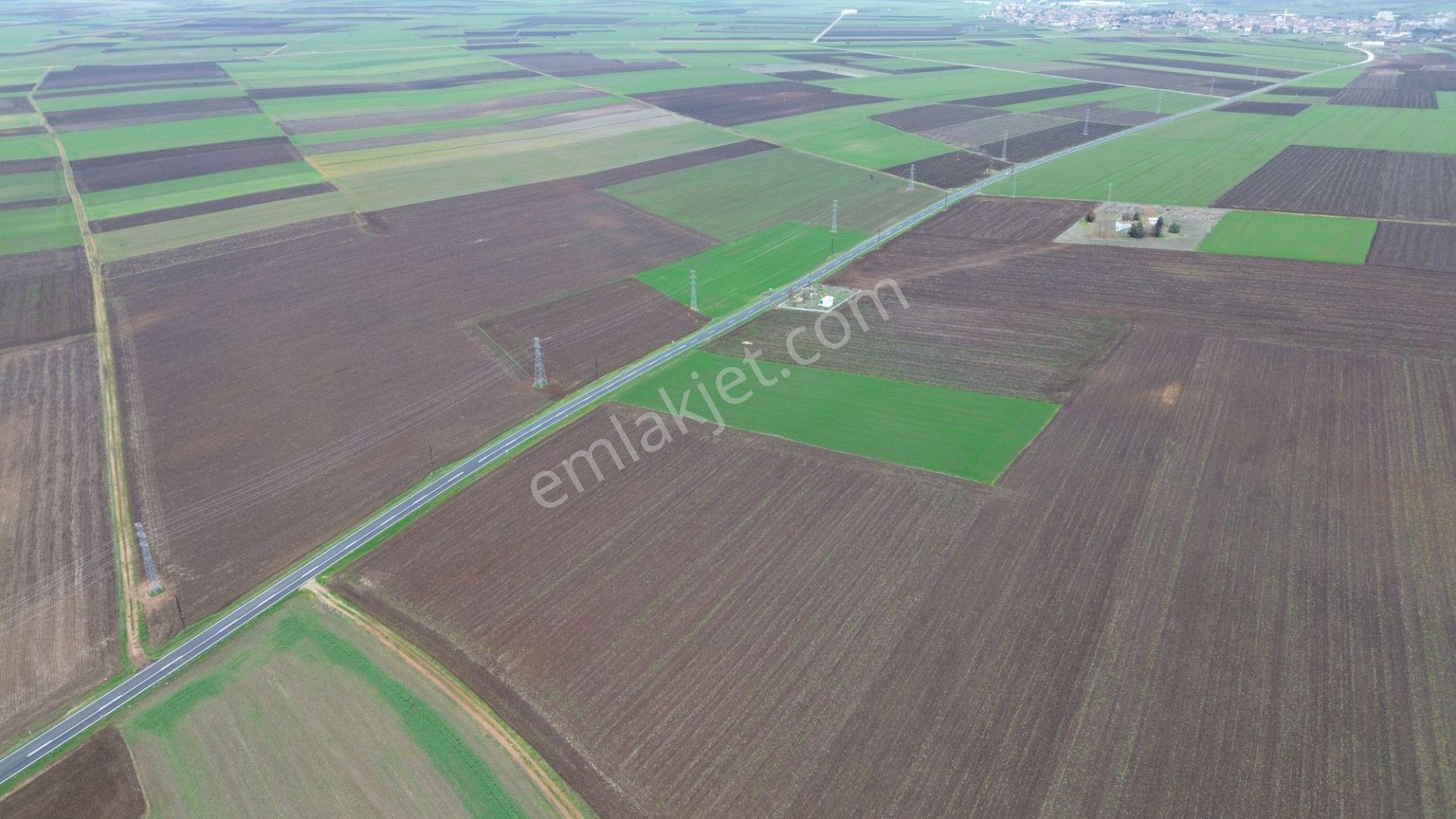 Kırklareli Lüleburgaz Ahmetbeyde Satılık 187 Dönüm Arazi - Görsel 9
