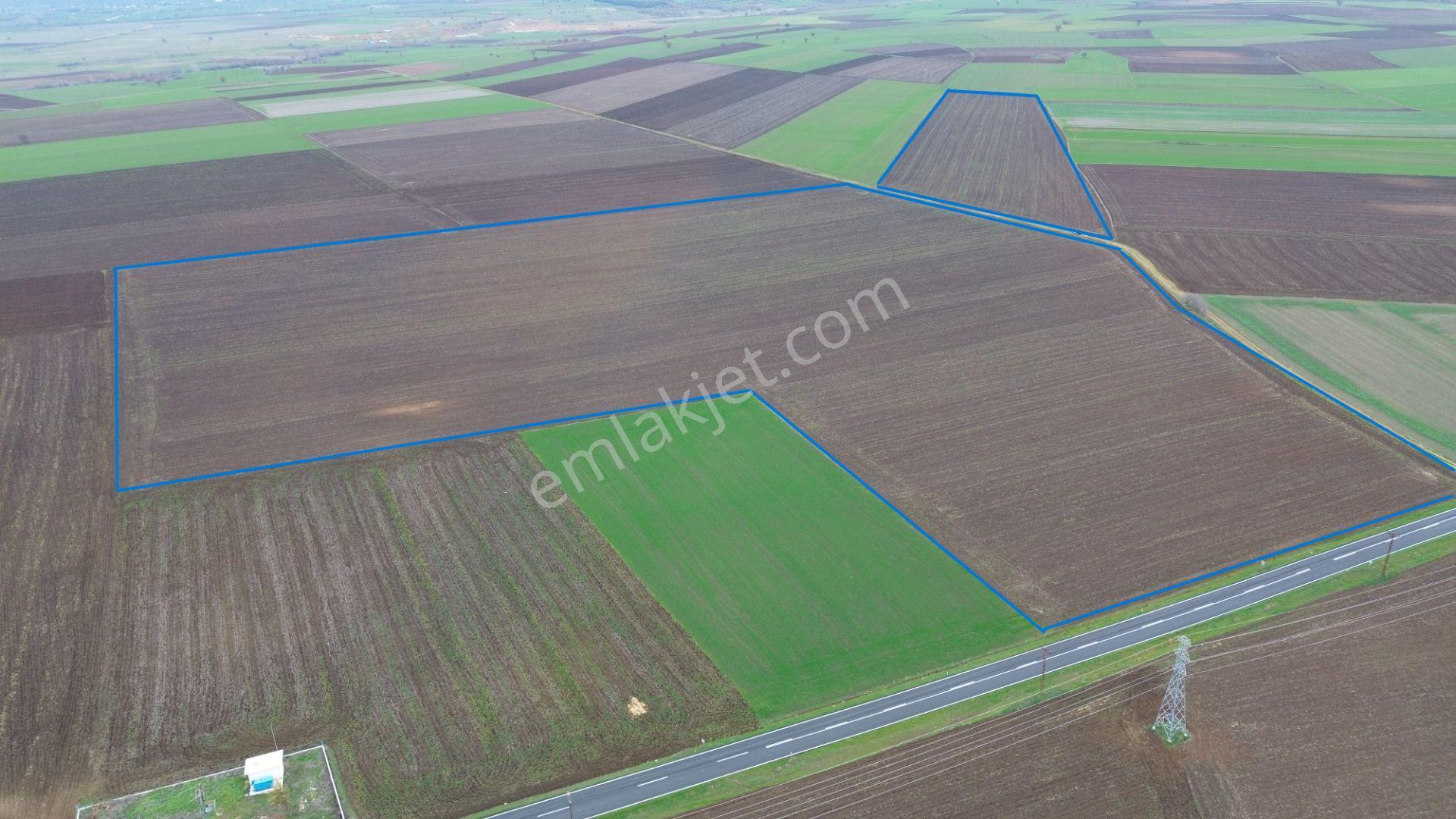 Kırklareli Lüleburgaz Ahmetbeyde Satılık 187 Dönüm Arazi - Görsel 4