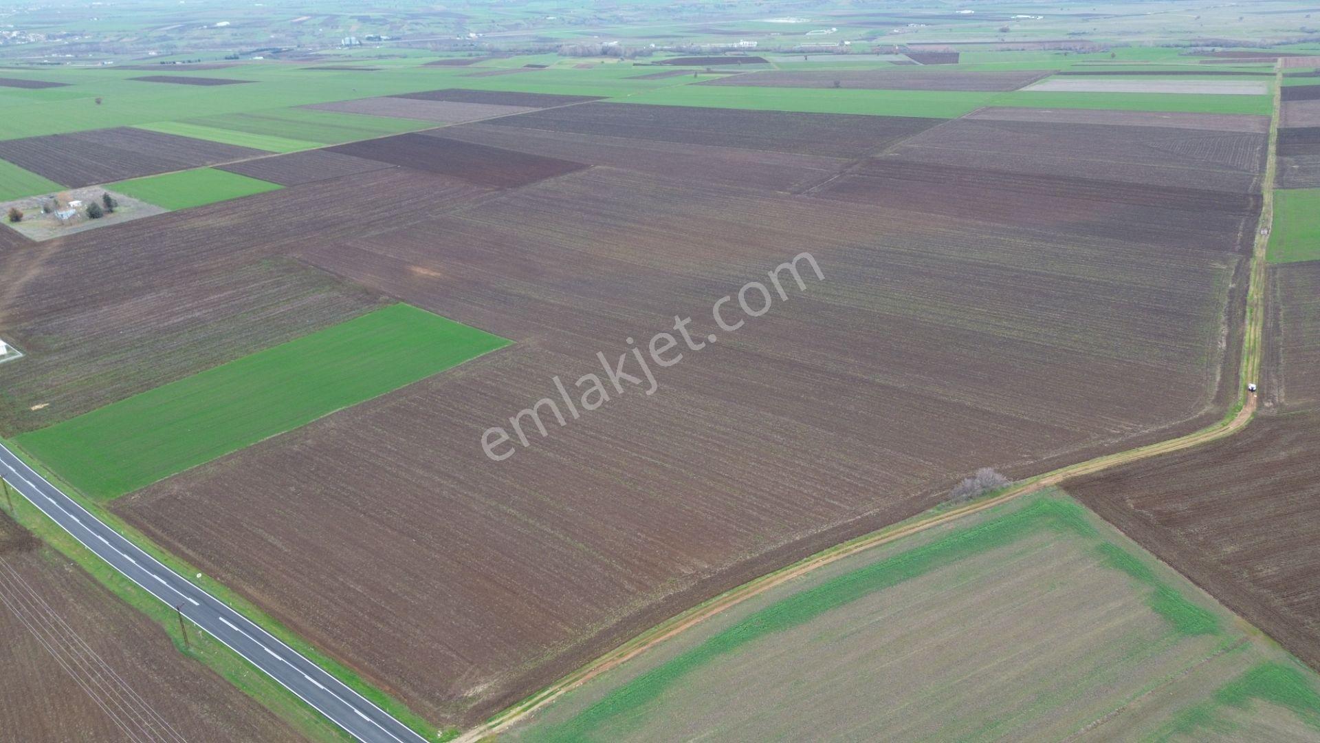 Kırklareli Lüleburgaz Ahmetbeyde Satılık 187 Dönüm Arazi - Görsel 7