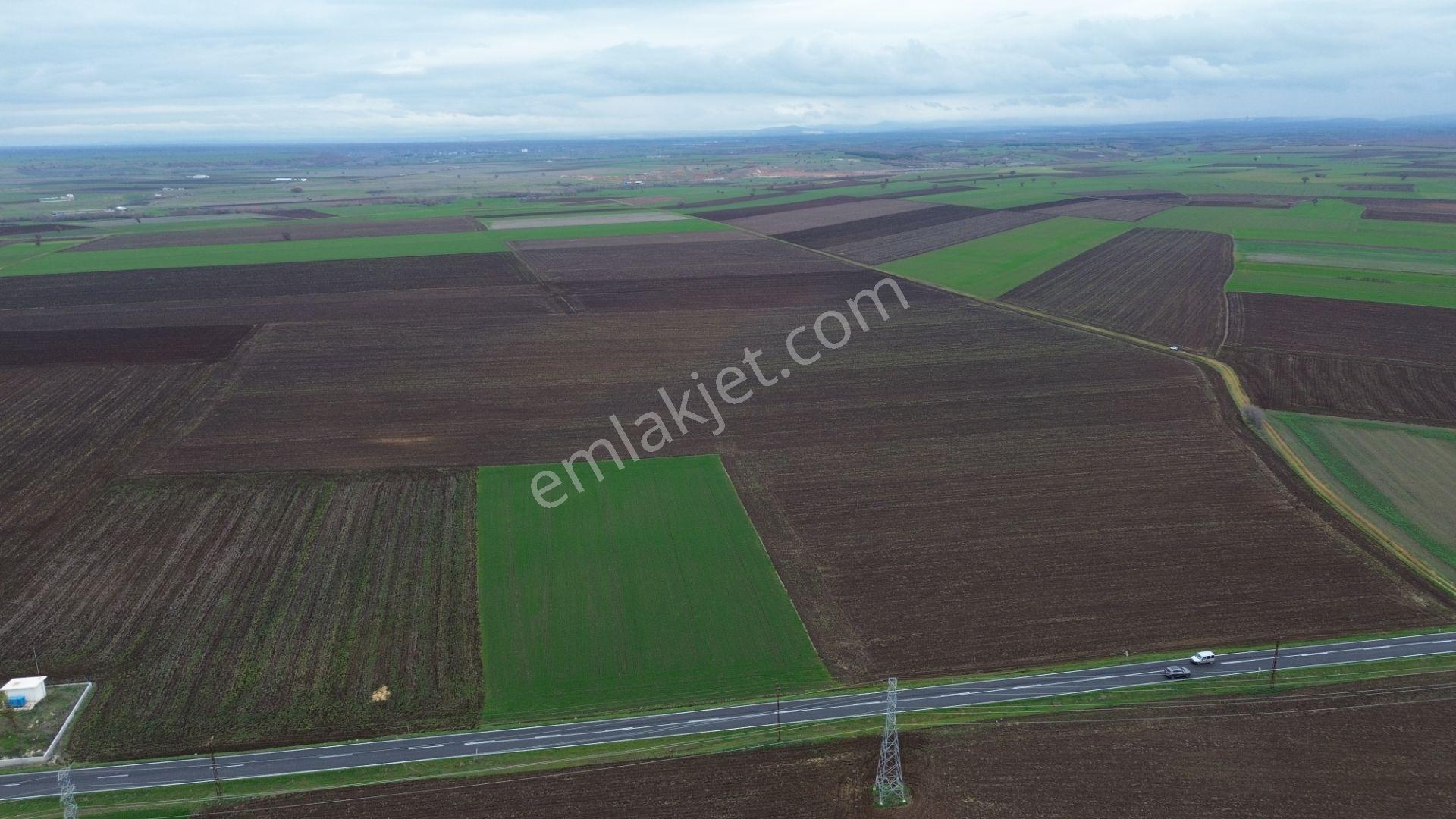 Kırklareli Lüleburgaz Ahmetbeyde Satılık 187 Dönüm Arazi - Görsel 2