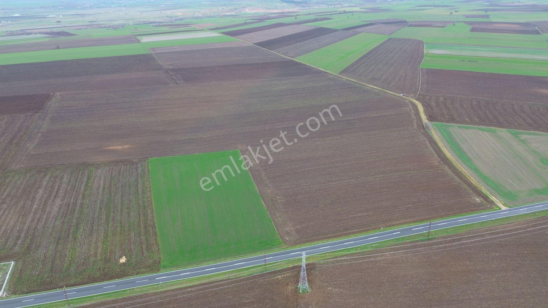 Kırklareli Lüleburgaz Ahmetbeyde Satılık 187 Dönüm Arazi - Görsel 3