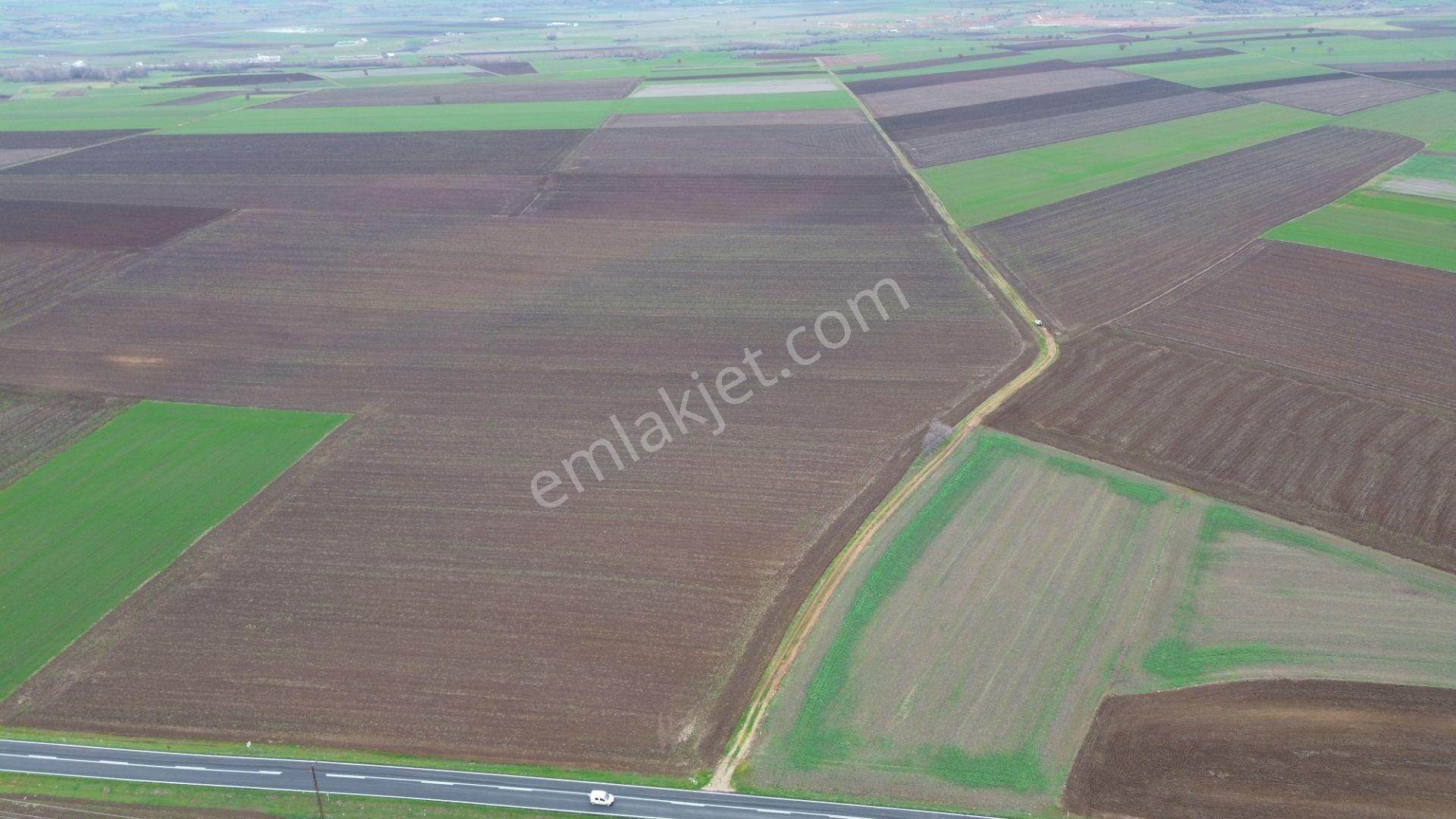 Kırklareli Lüleburgaz Ahmetbeyde Satılık 187 Dönüm Arazi - Görsel 6