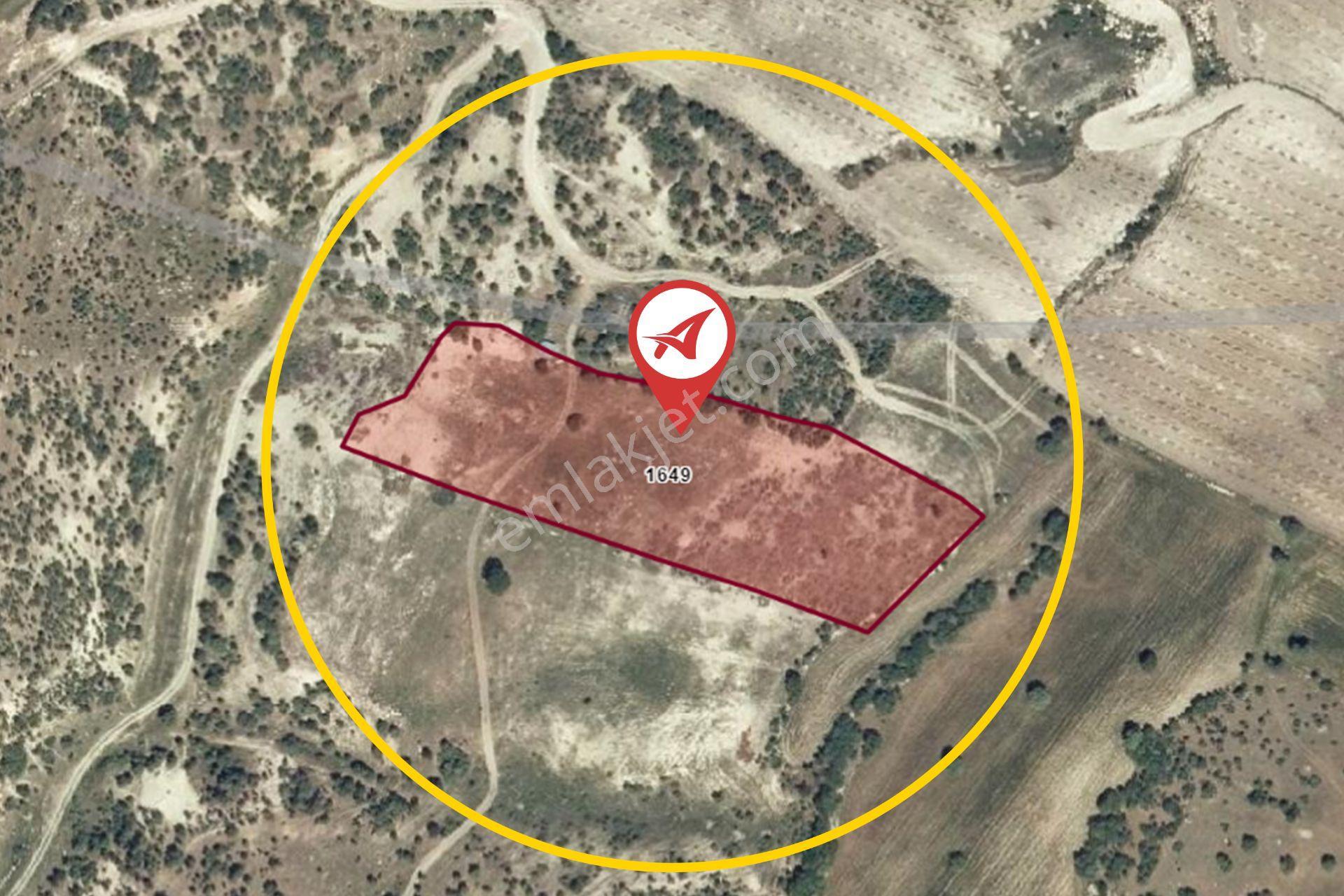 Kütahya Gediz Kızılüzüm Satılık 8600m2 Tarla - Görsel 8
