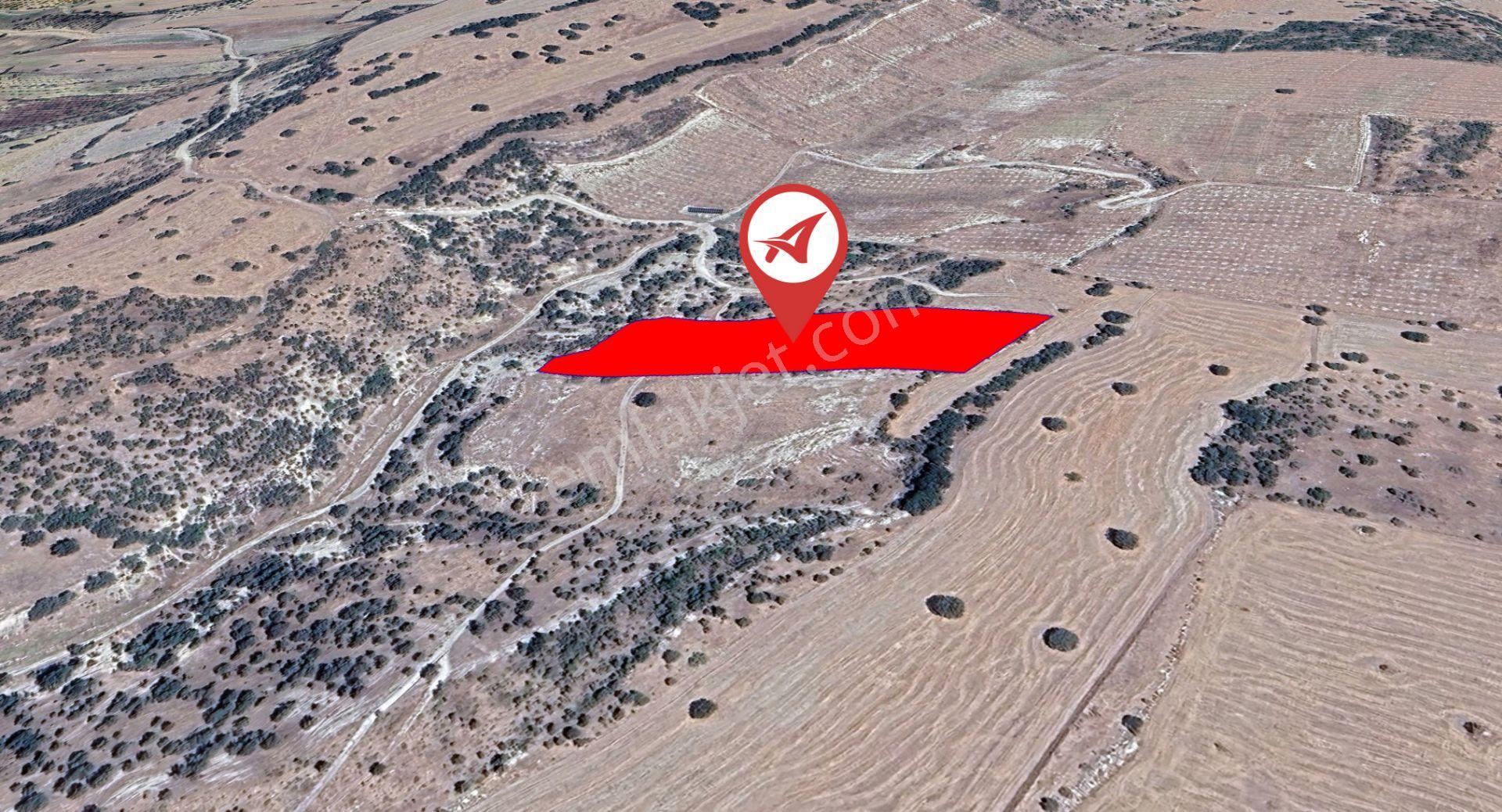Kütahya Gediz Kızılüzüm Satılık 8600m2 Tarla - Görsel 2