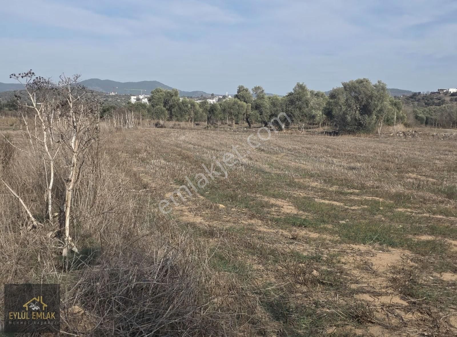 Bodrum Mumcularda 4.312 M² Yol Cepheli Kaçırılmayacak Fırsat - Görsel 9